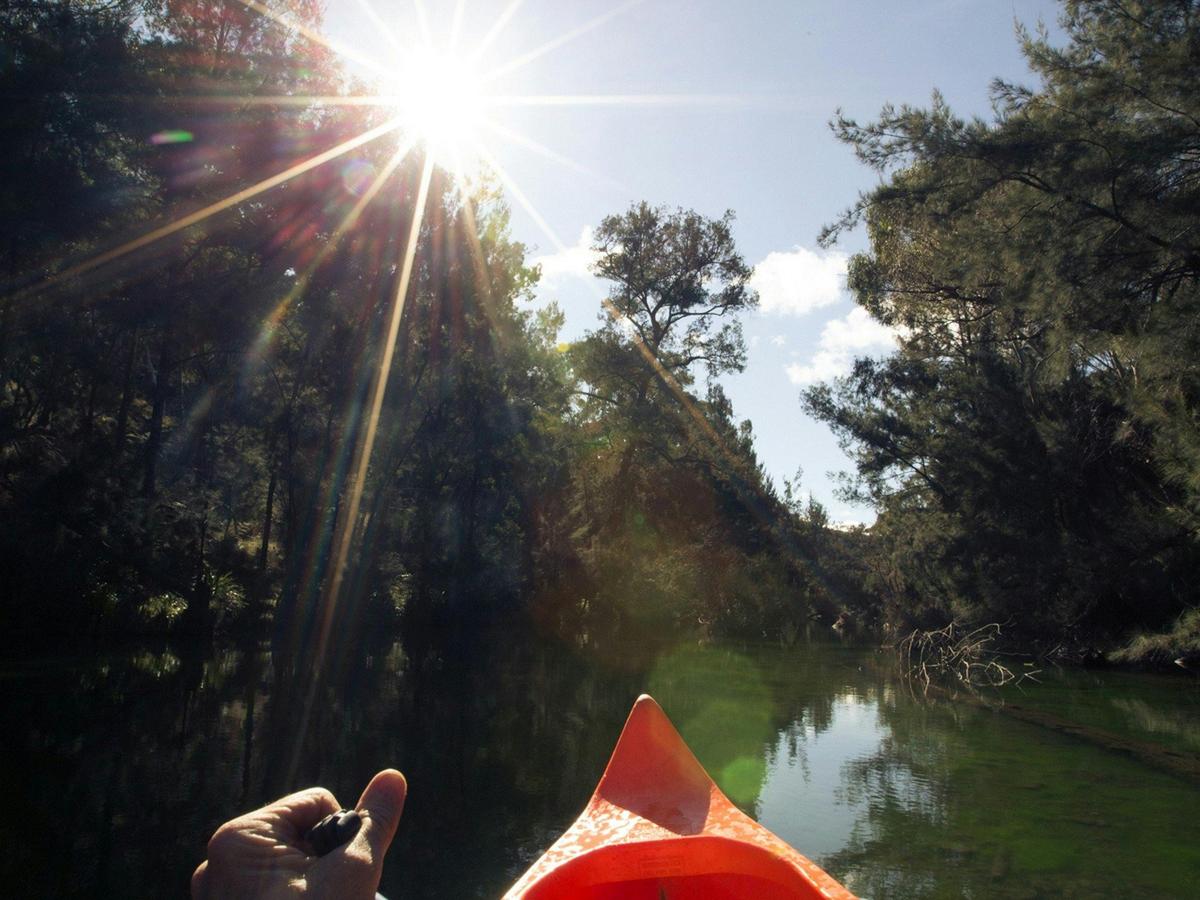 Go canoeing on the river