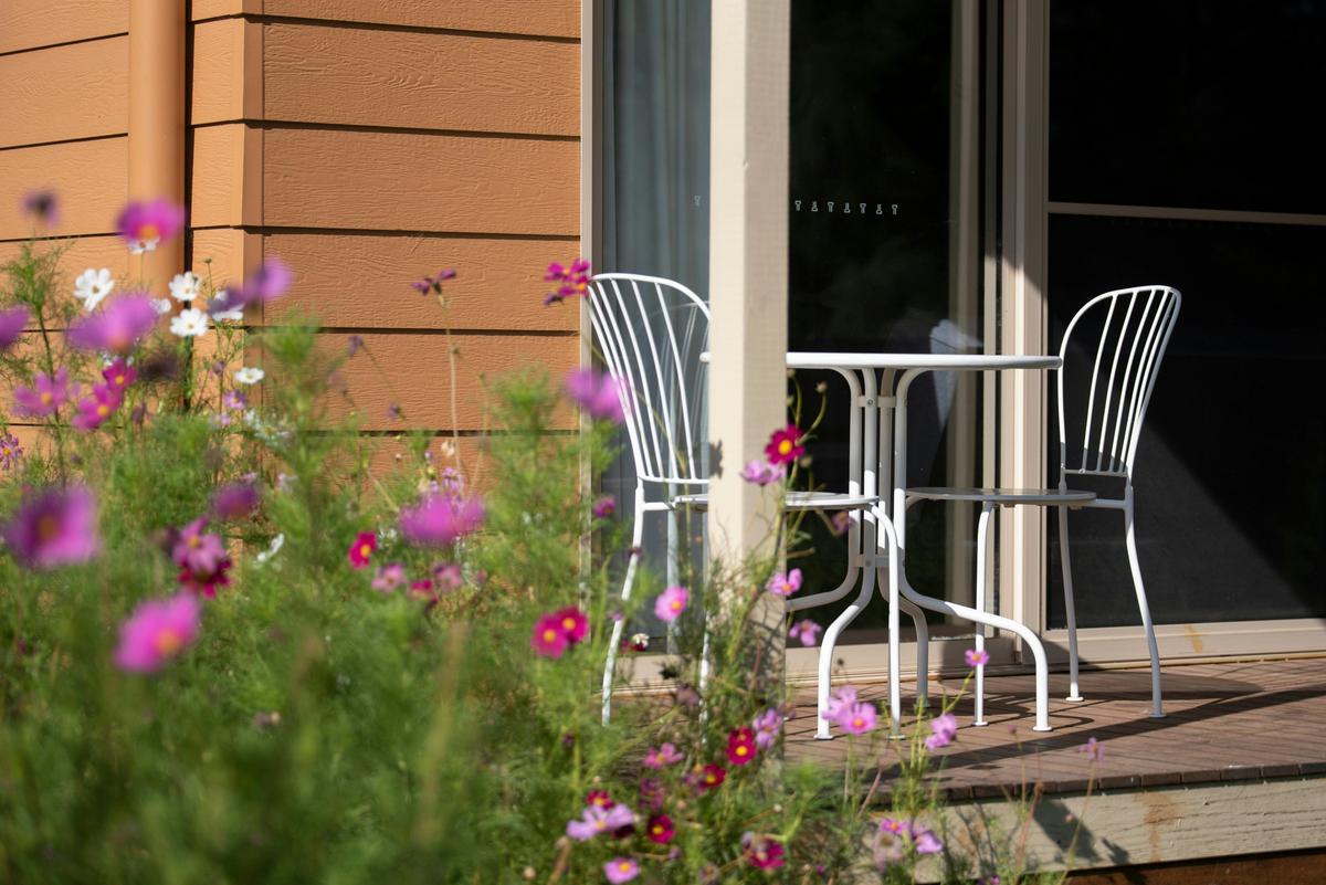 Beautiful landscaped gardens and tranquil settings