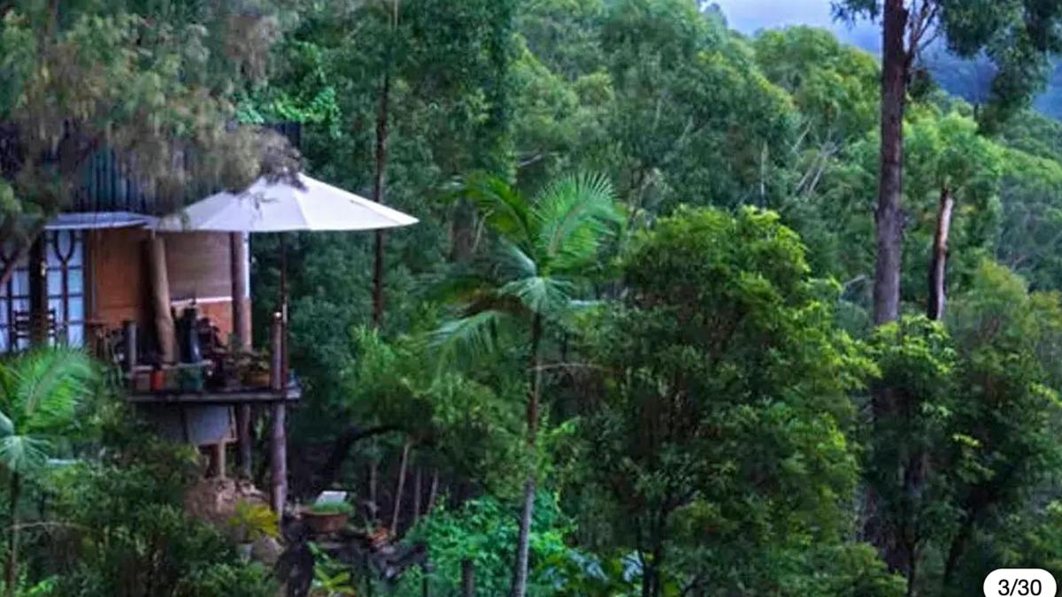 Treepod of the Treehouse