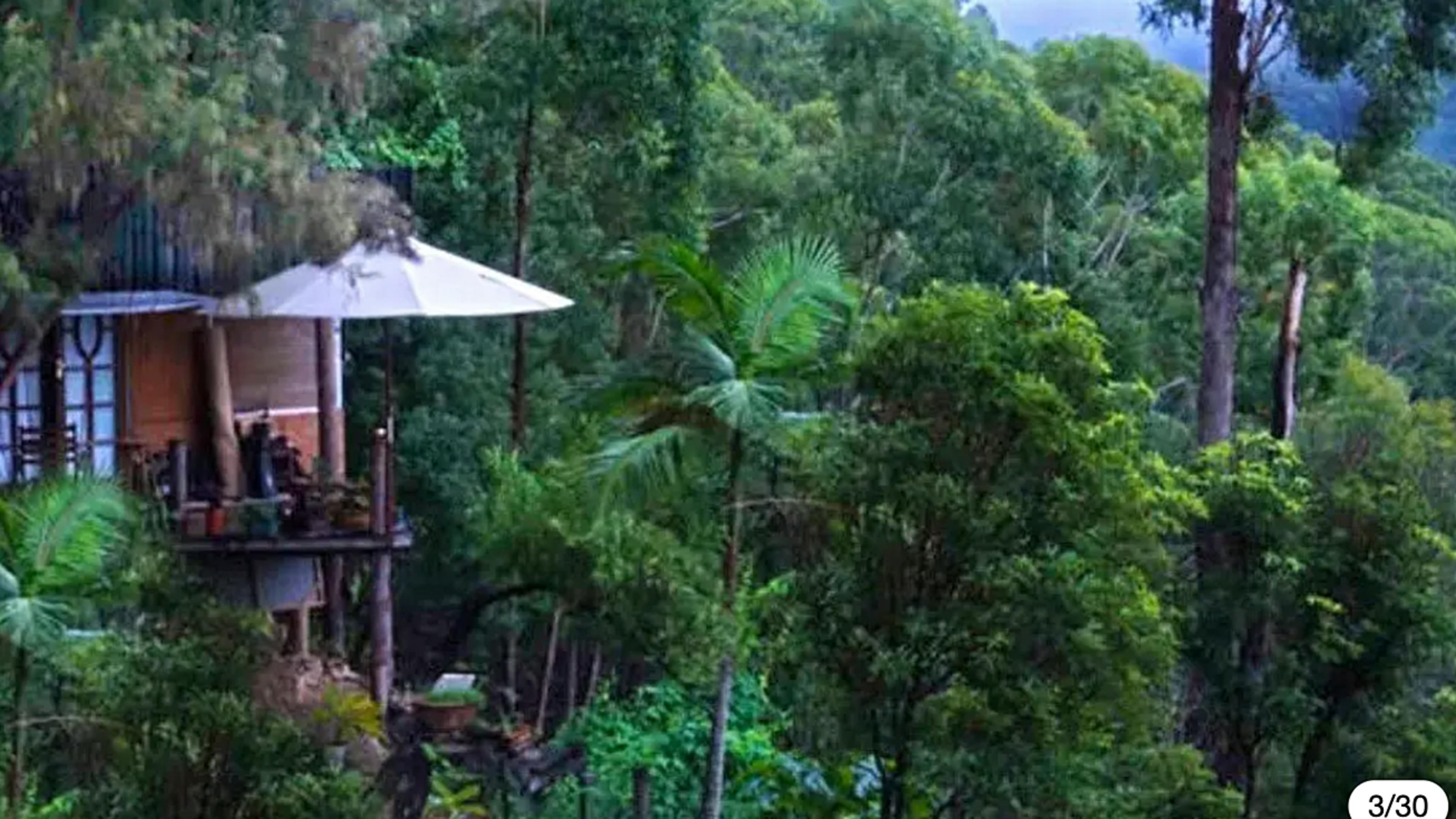 Treepod of the Treehouse