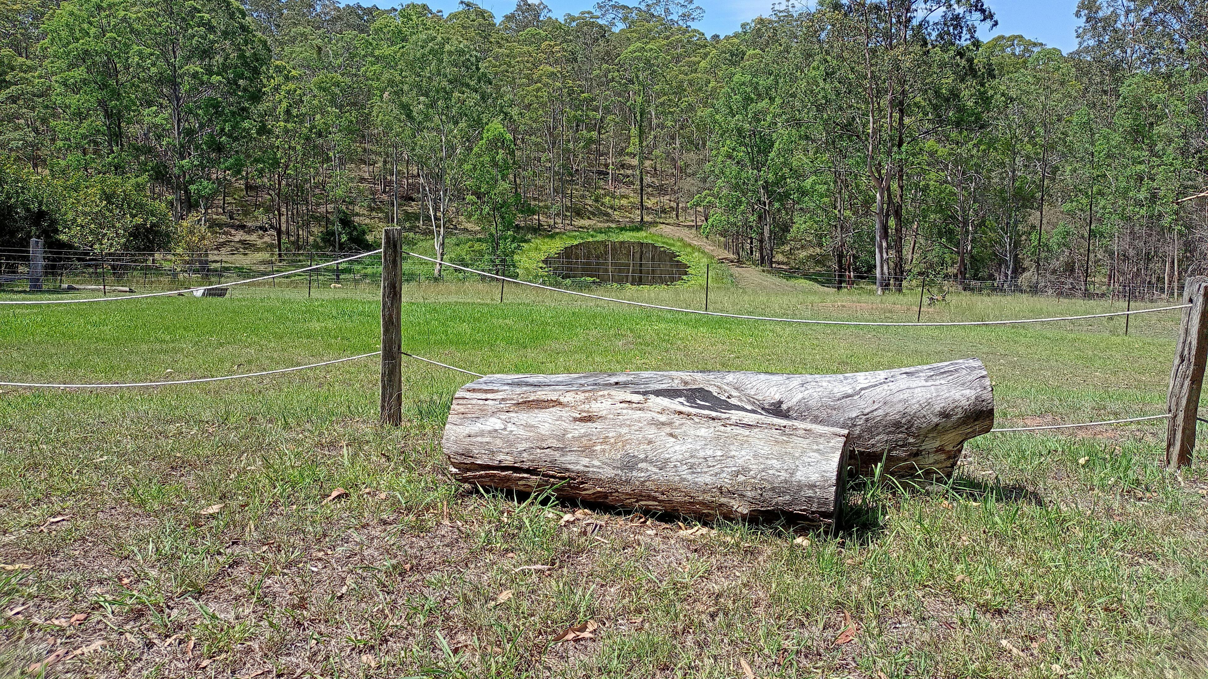 Tall Timbers Retreat