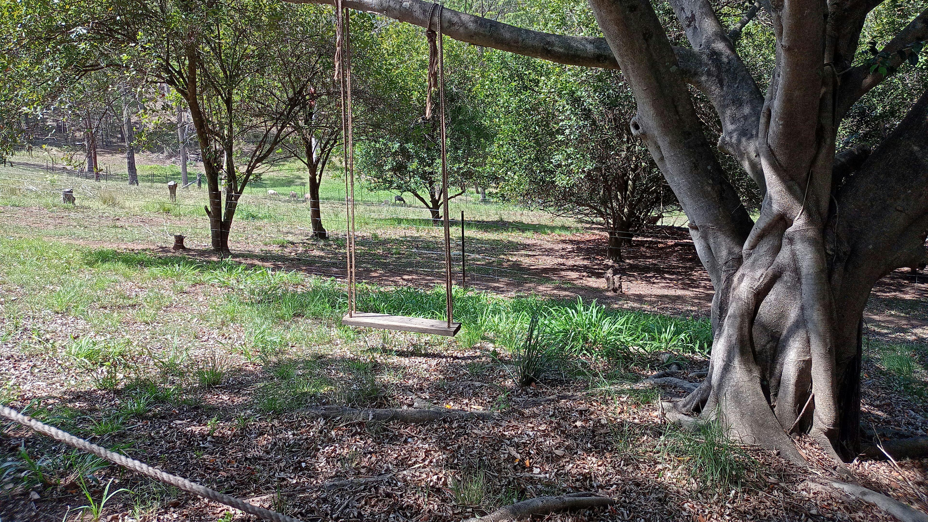 Tall Timbers Retreat