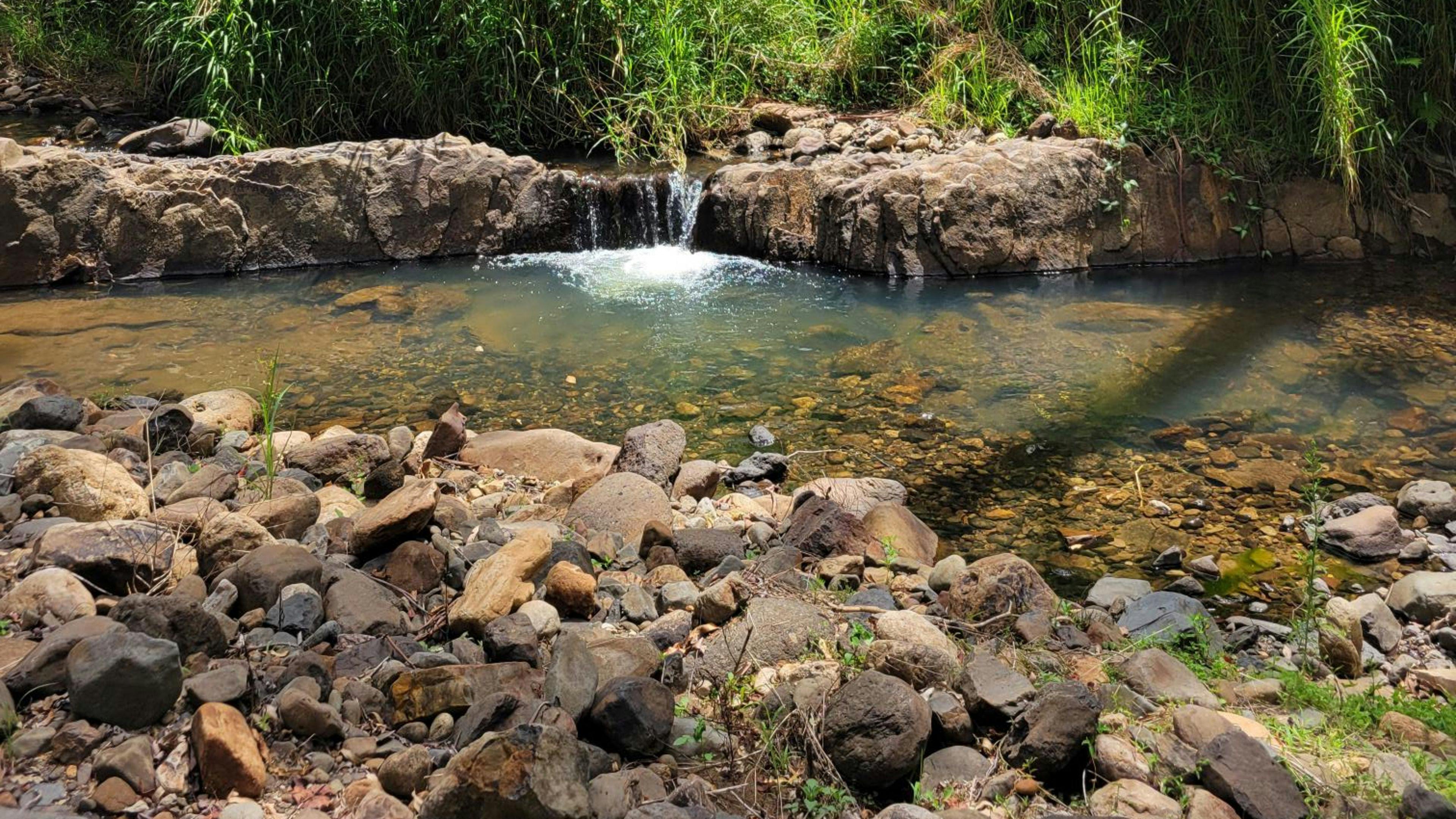 Tranquil Rainforest Retreat