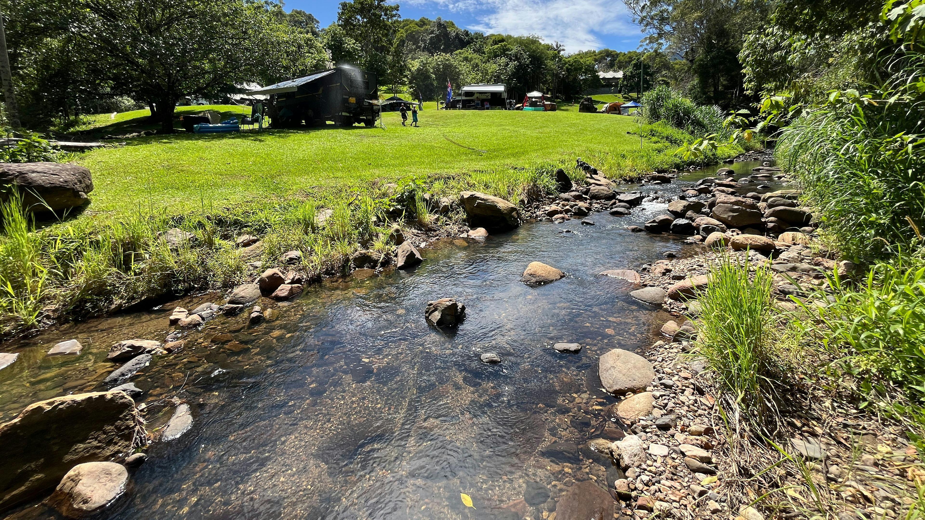 Tranquil Rainforest Retreat