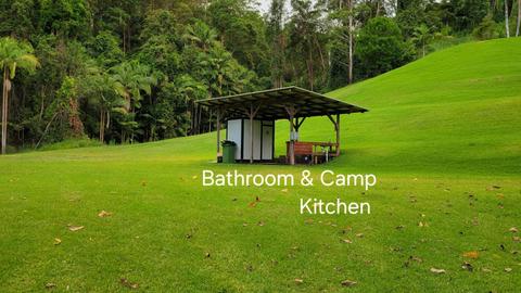 Tranquil Rainforest Retreat