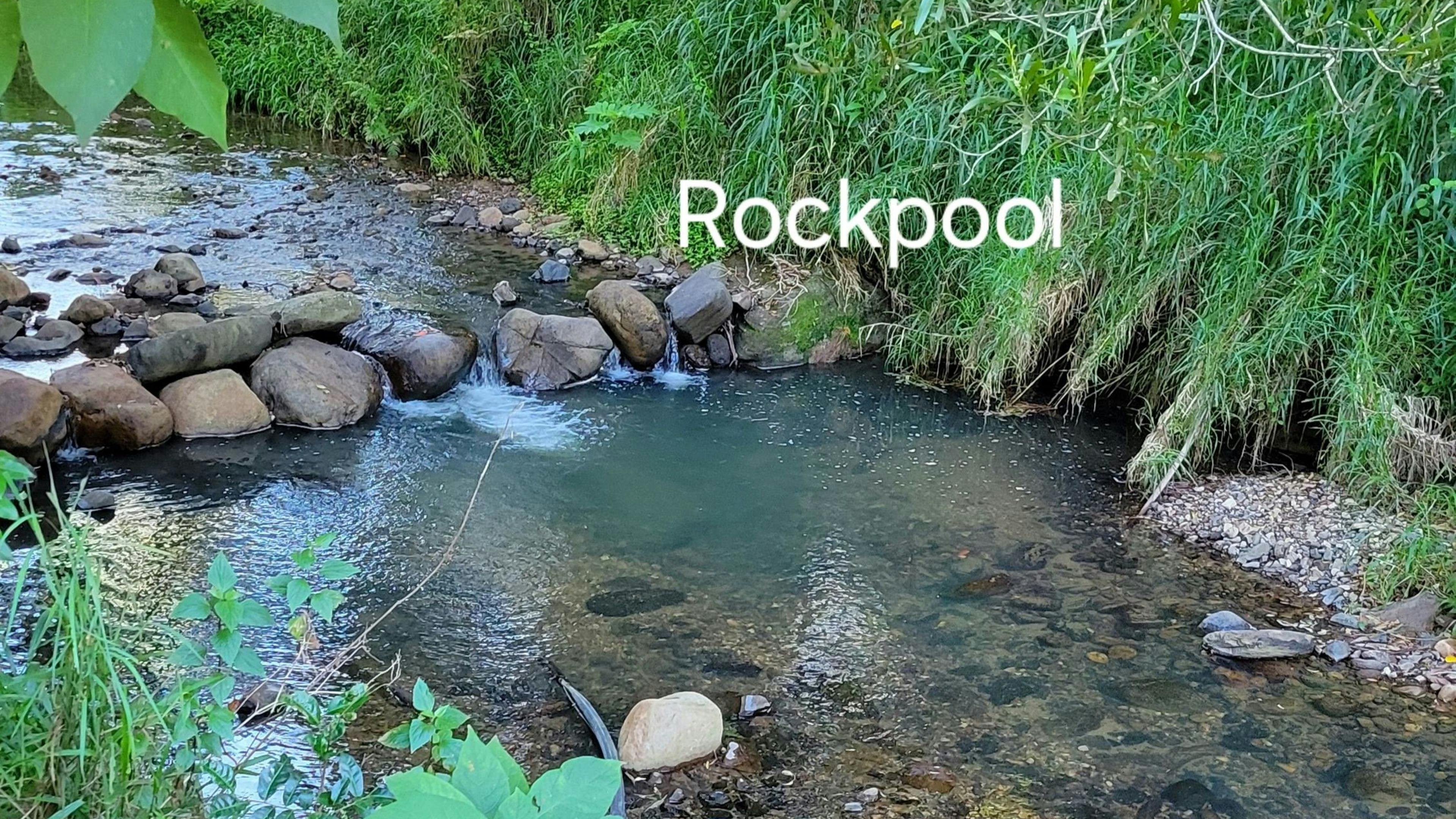 Tranquil Rainforest Retreat