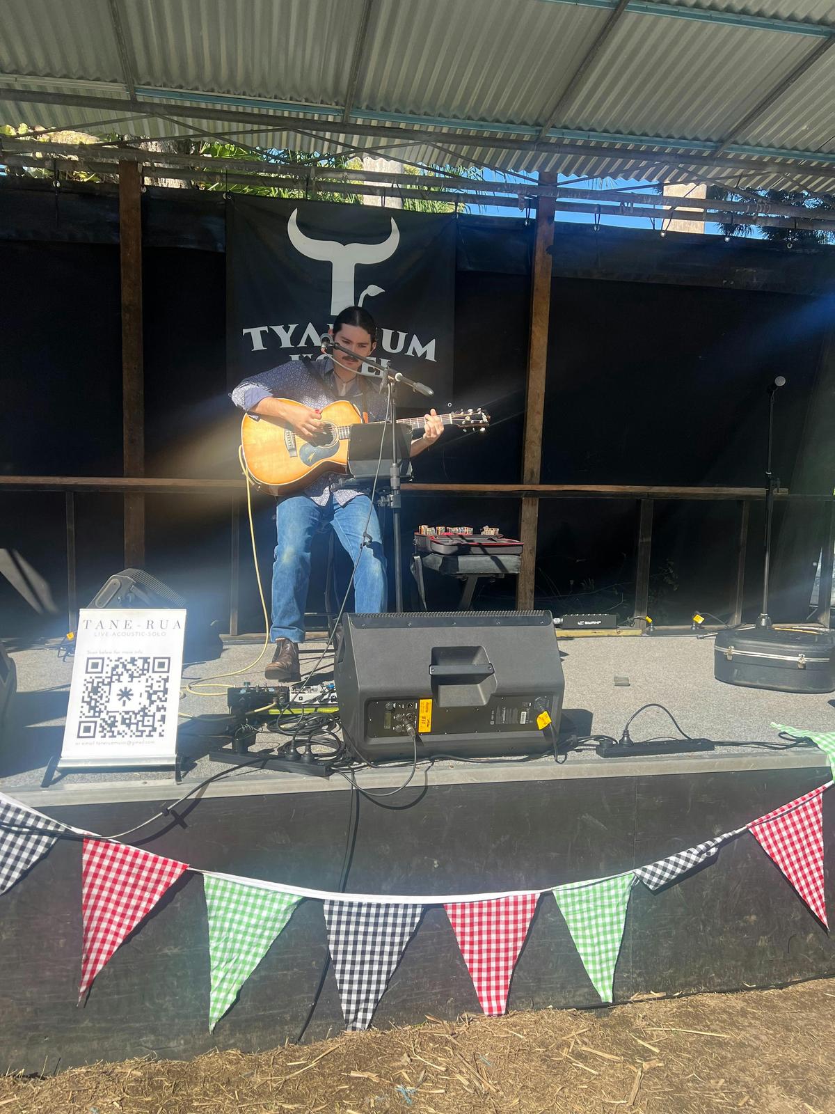 Musician on stage