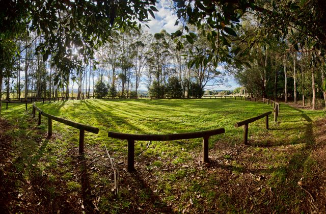 Aboriginal Bora Ring