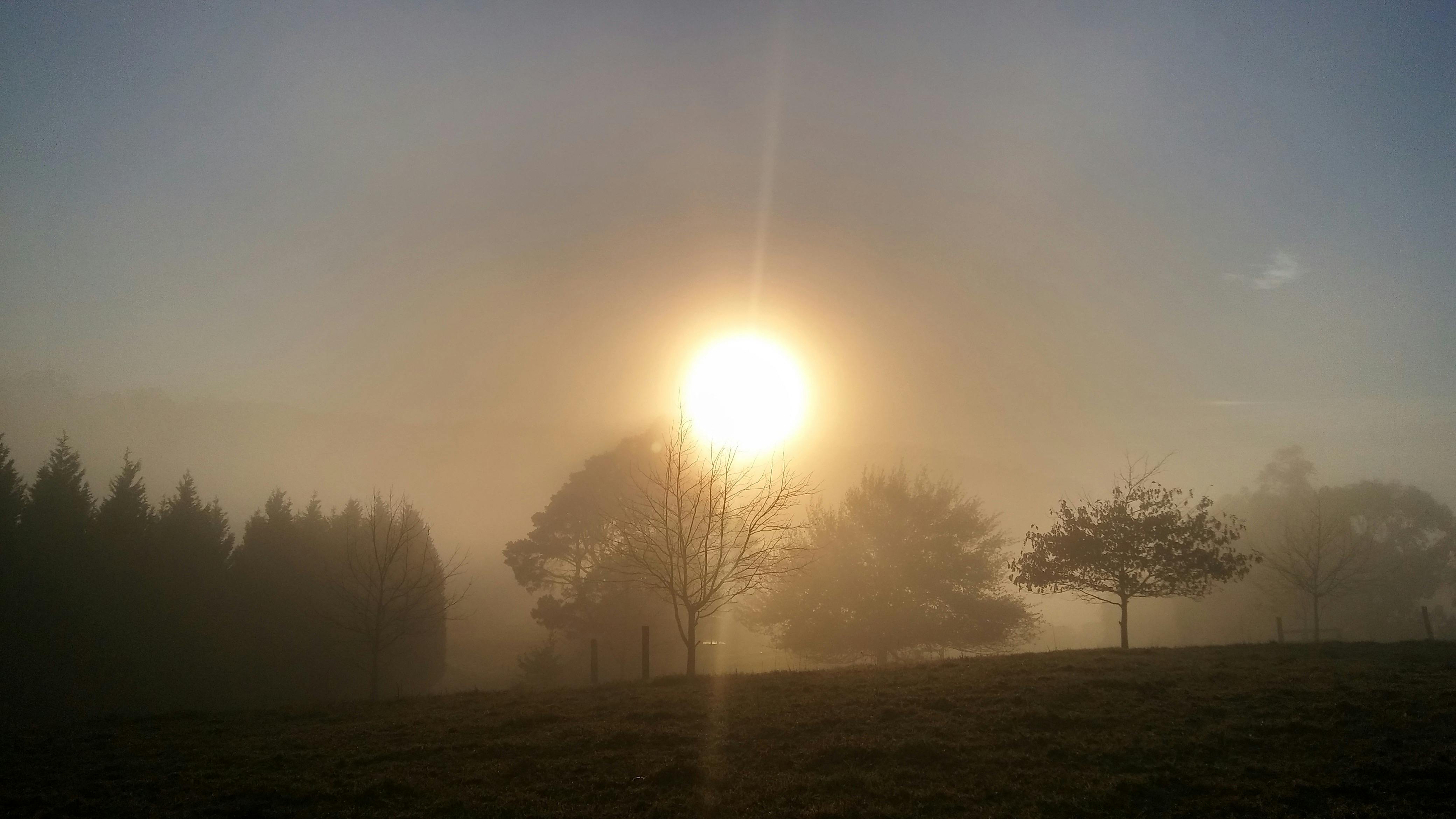 sense of ccolours and seasons