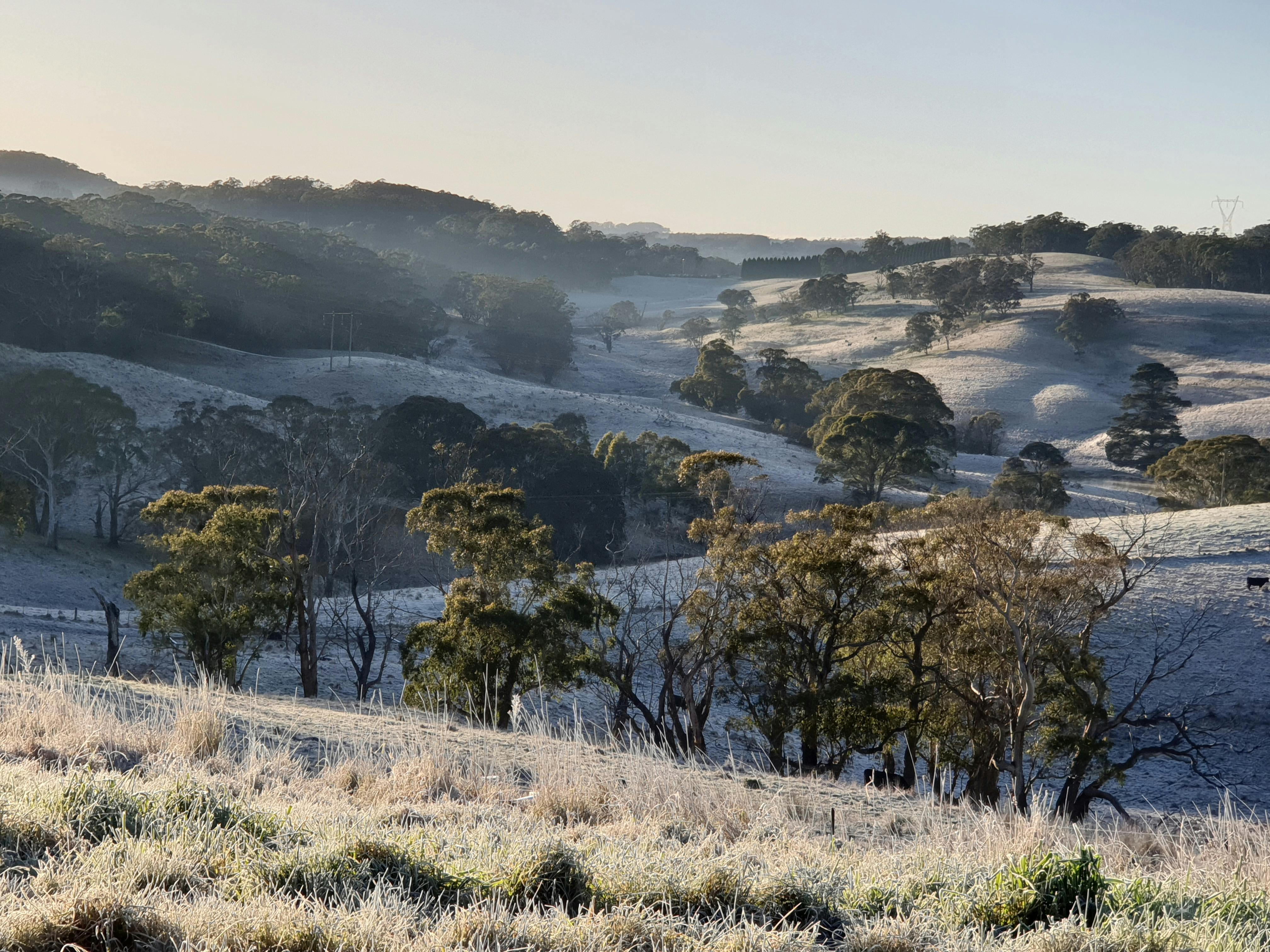 experience walking on the farm!