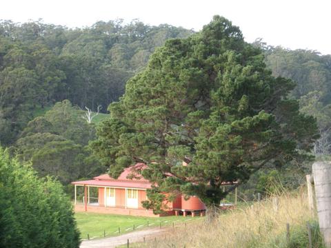 The Pines Pastoral