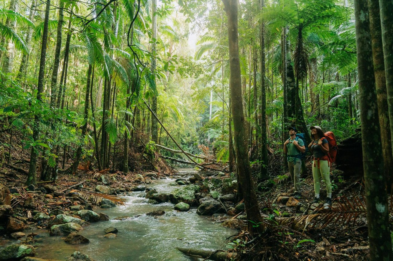 Gidjuum Gulganyi Walk