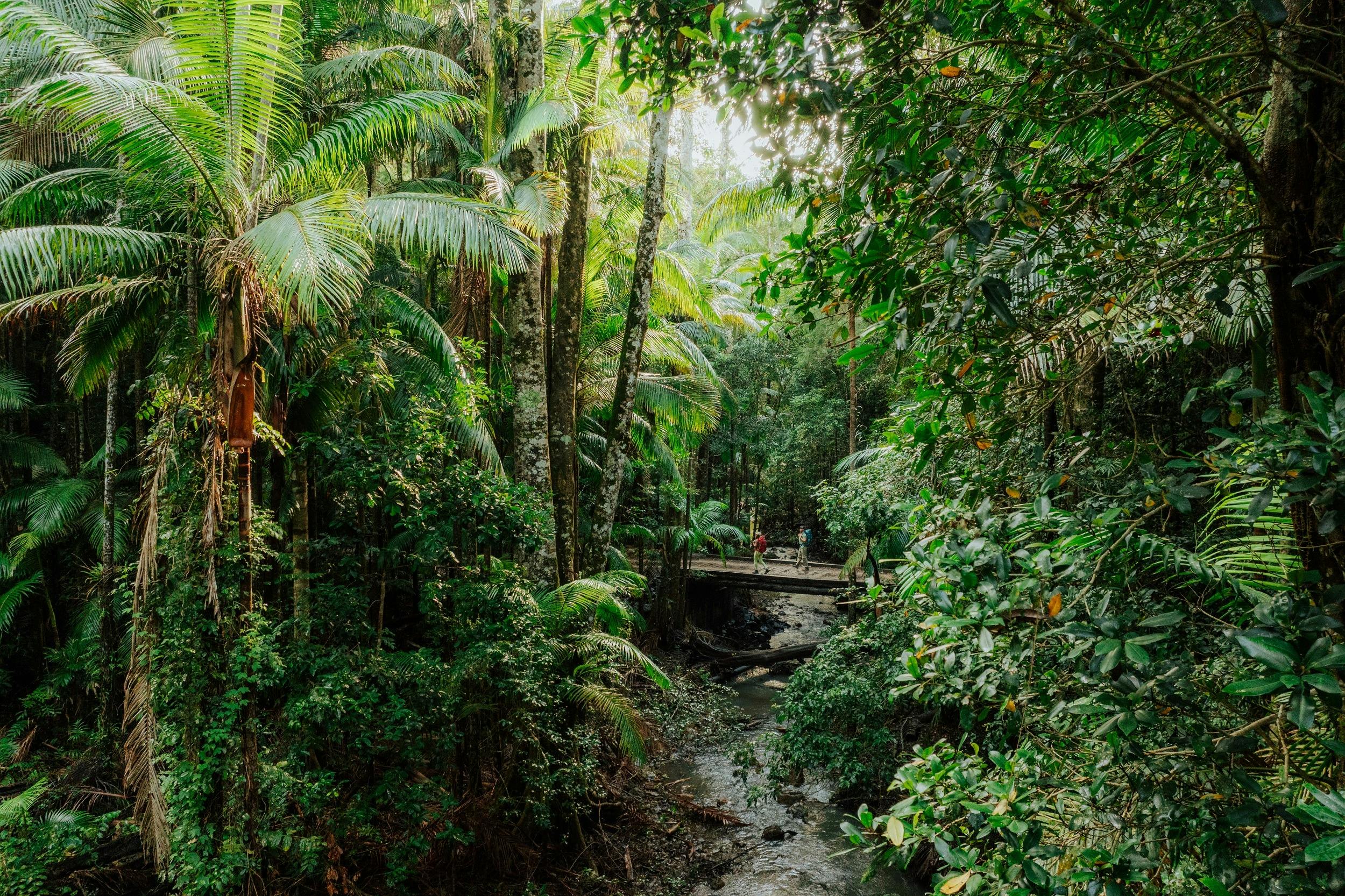 Gidjuum Gulganyi Walk