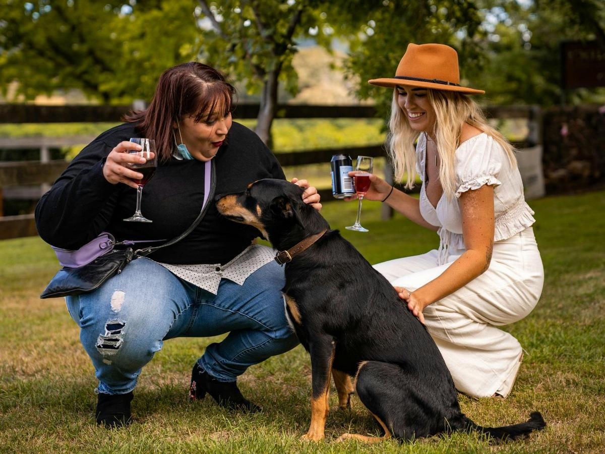 Dog friendly Accommodation