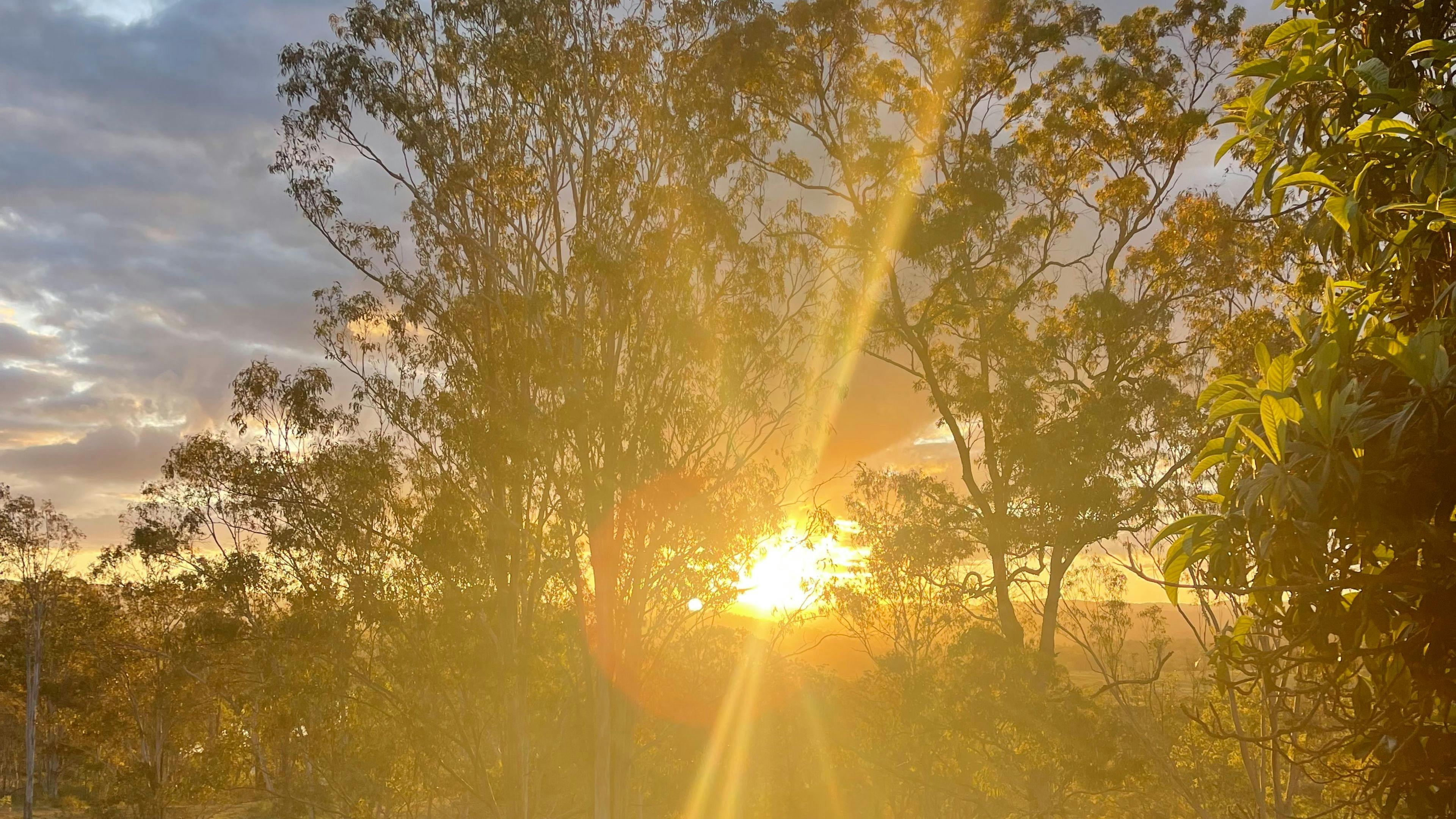 The Ranch on Clarence