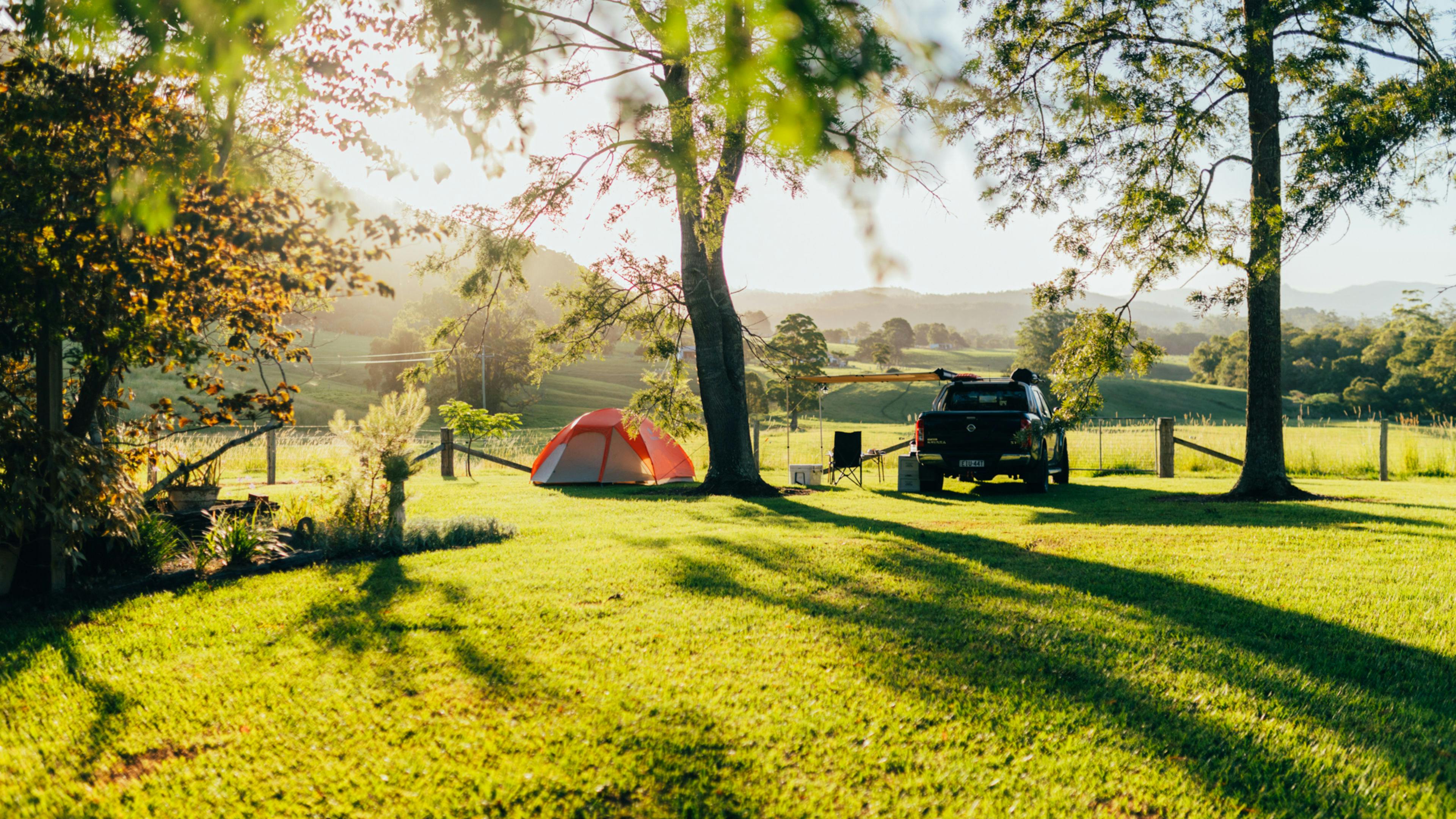 golden hour light at the camp