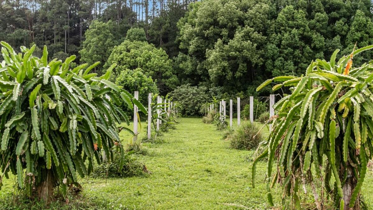 The Freedom Organic Farm