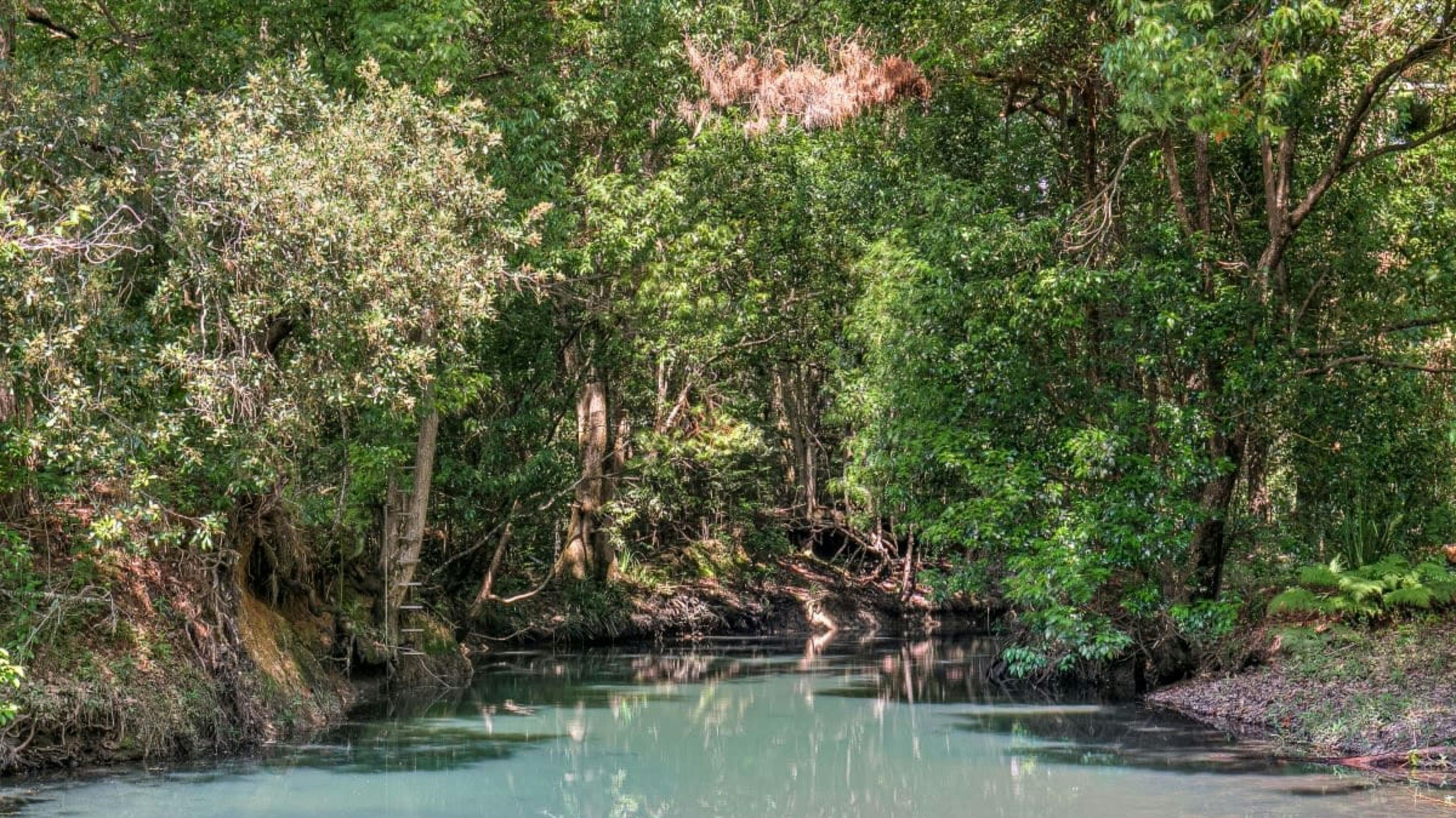 The Freedom Organic Farm