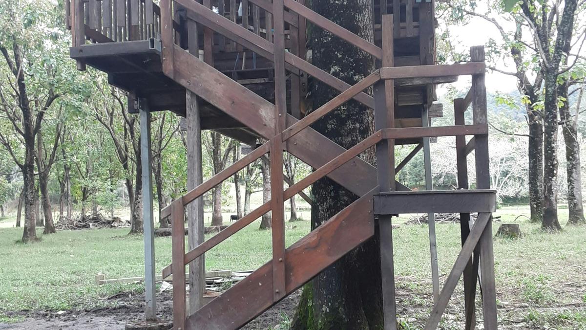 Sygoglin Treehouse
