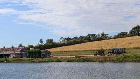 The Apple Orchard