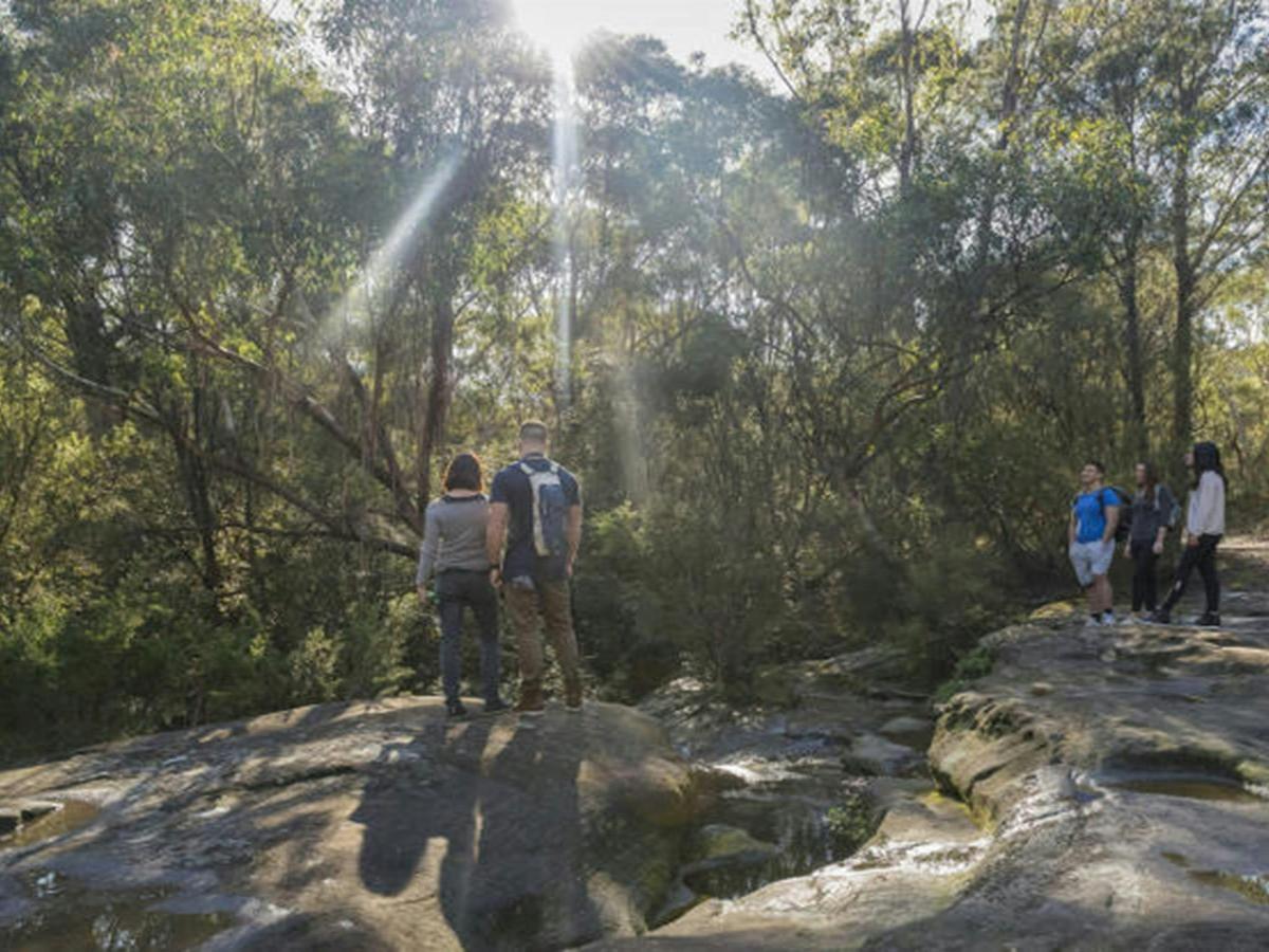 Garigal National Park