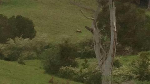 The Tranquil Garden Camping