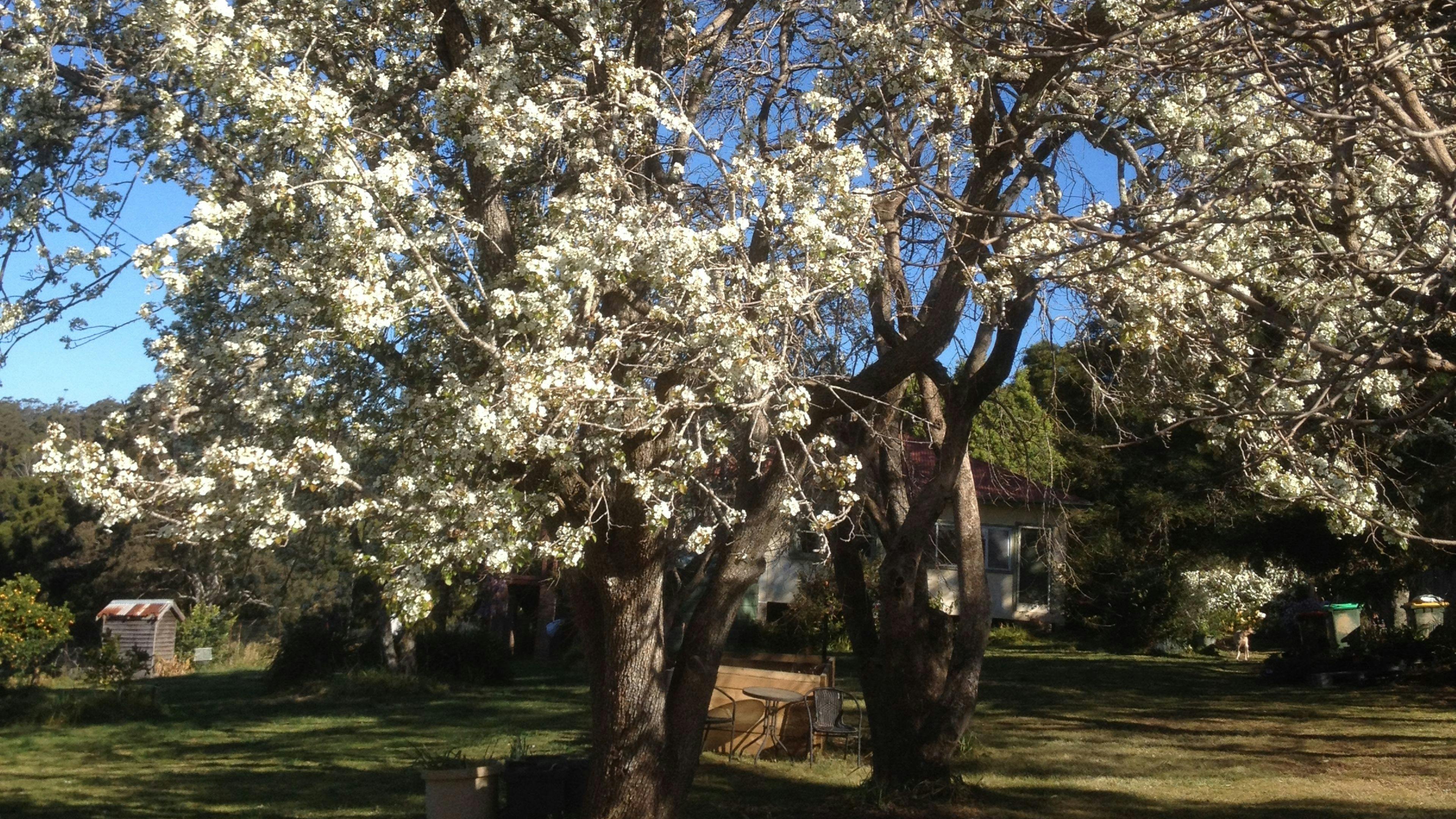 The Tranquil Garden Camping