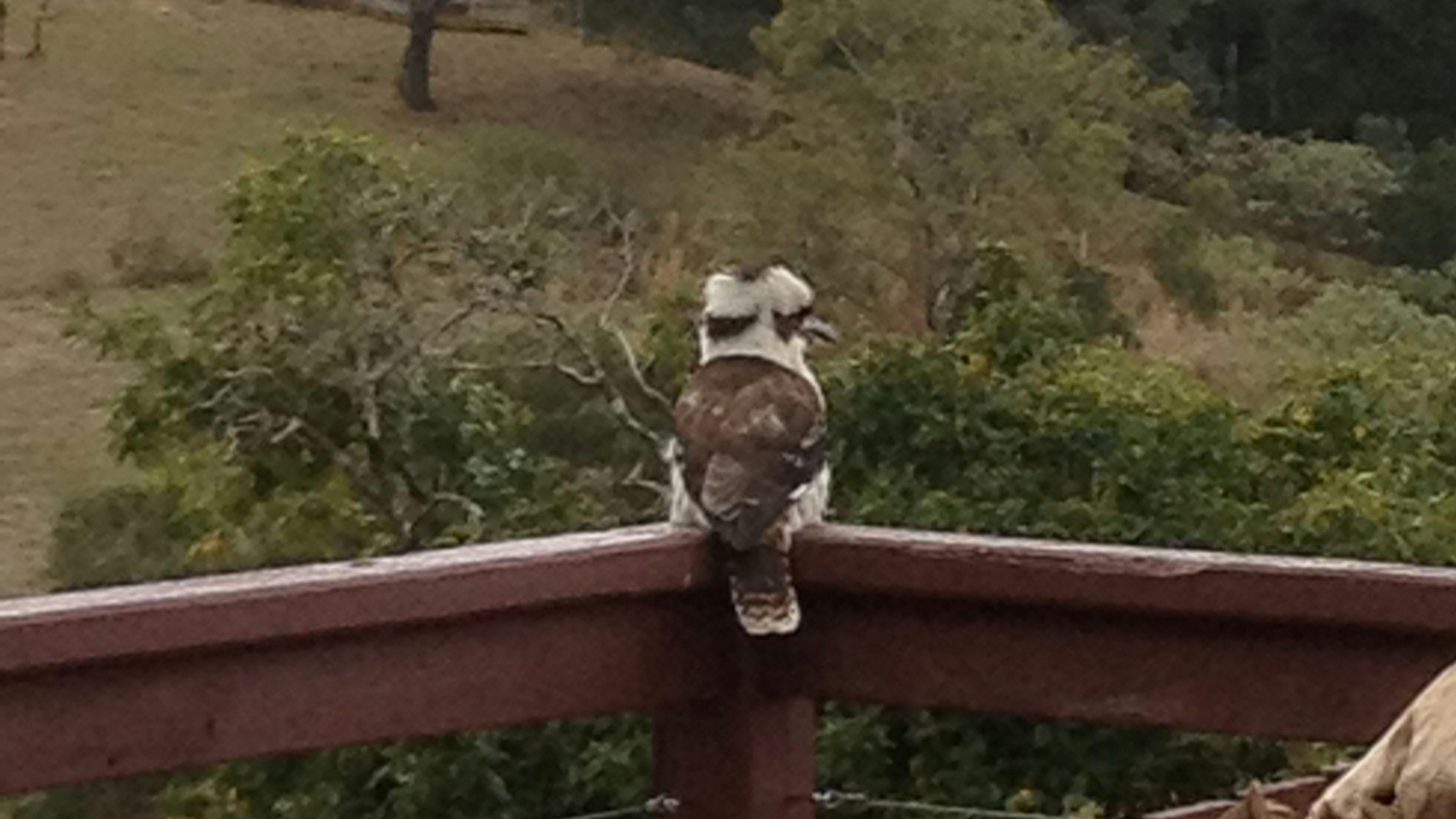 The Tranquil Garden Camping