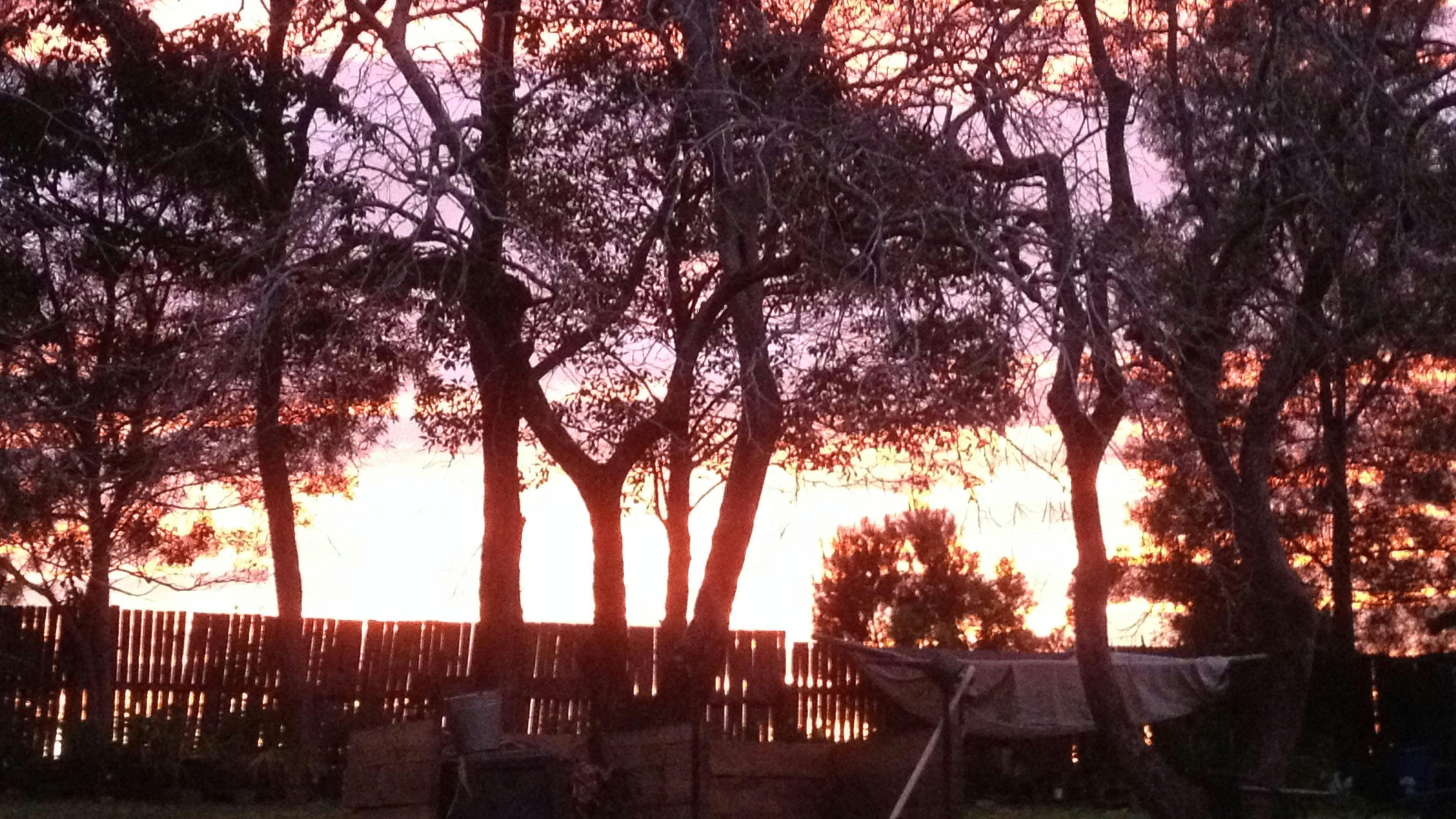 The Tranquil Garden Camping