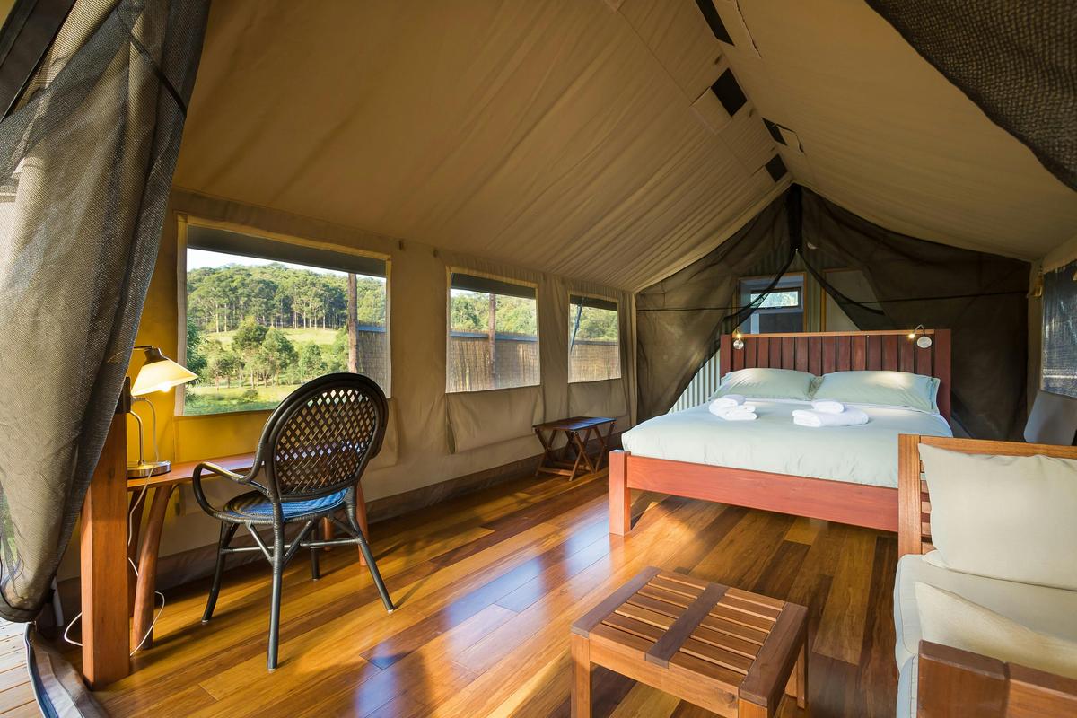Inside Luxury safari tent Spoonbill