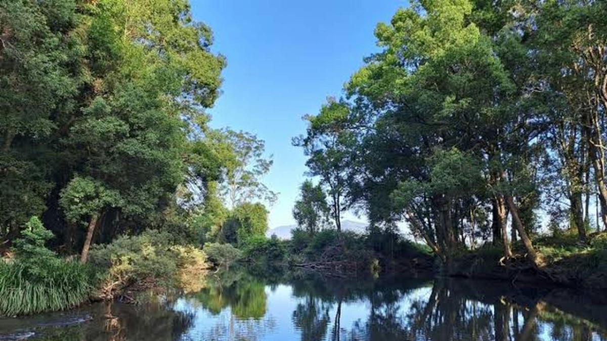 Fifth Ridge Ranch and Farm Stay