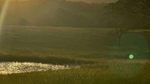 The Plains Ranch and Farm Stay