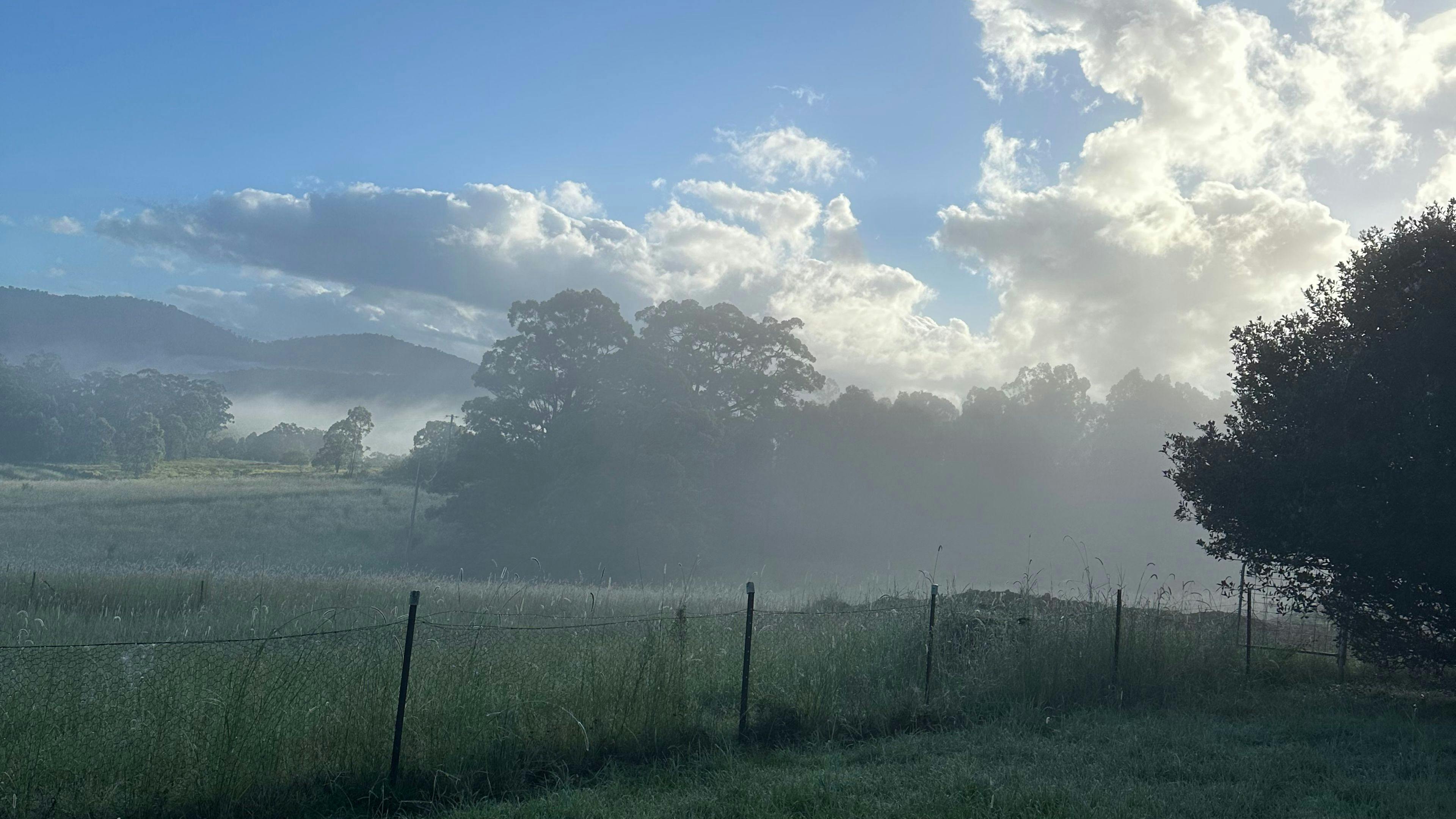 The Plains Ranch and Farm Stay