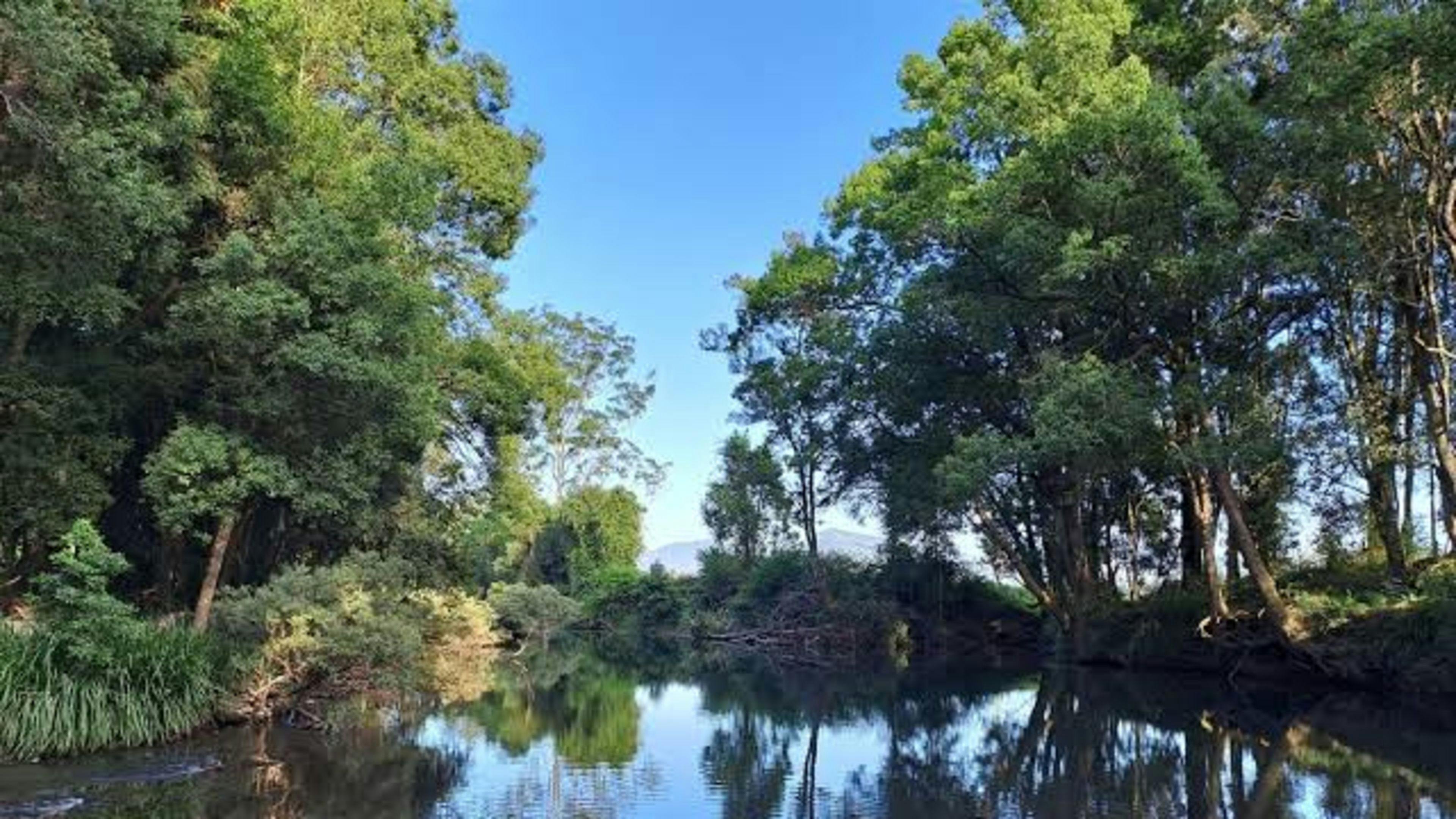 The Plains Ranch and Farm Stay