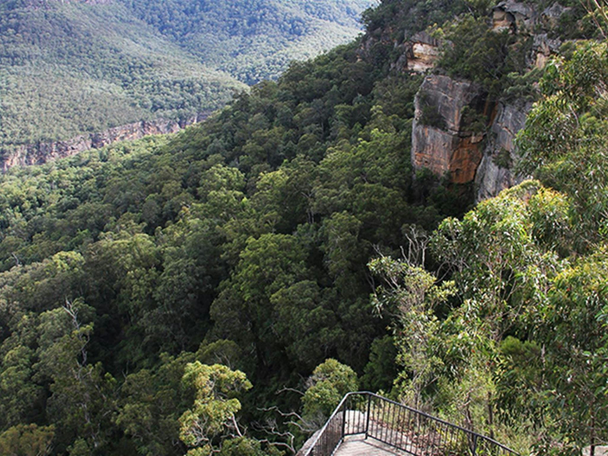 View of Grand Canyon lookout platform on sandstone cliffs above a densely forested valley. Photo: