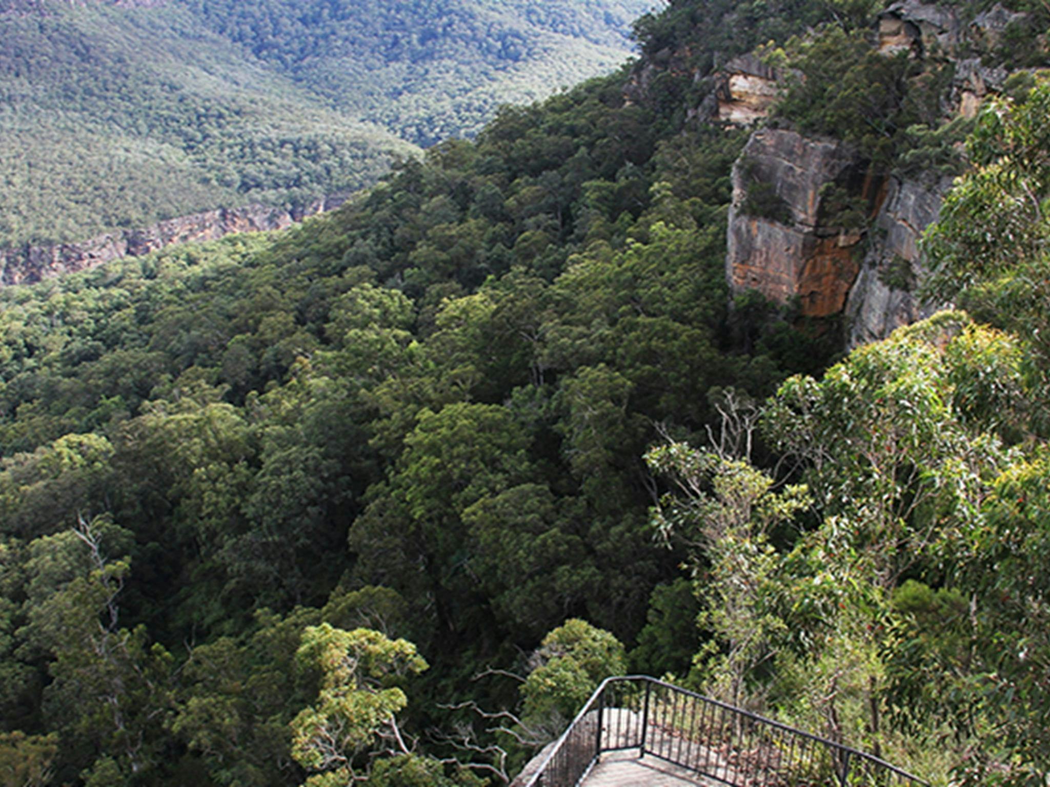 View of Grand Canyon lookout platform on sandstone cliffs above a densely forested valley. Photo: