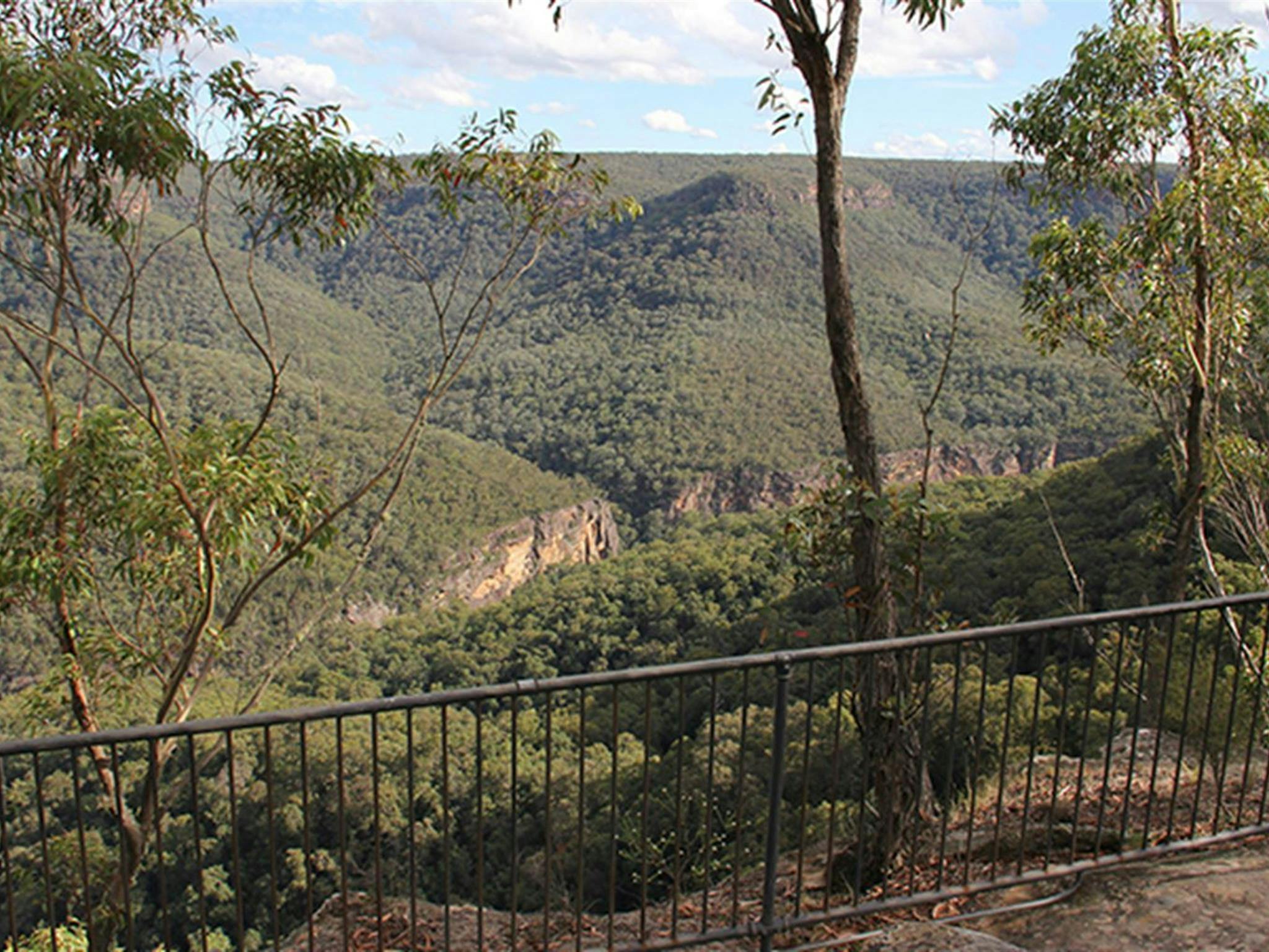 Grand Canyon lookout platform and railing, with valley and forest views Photo: John Yurasek/OEH.