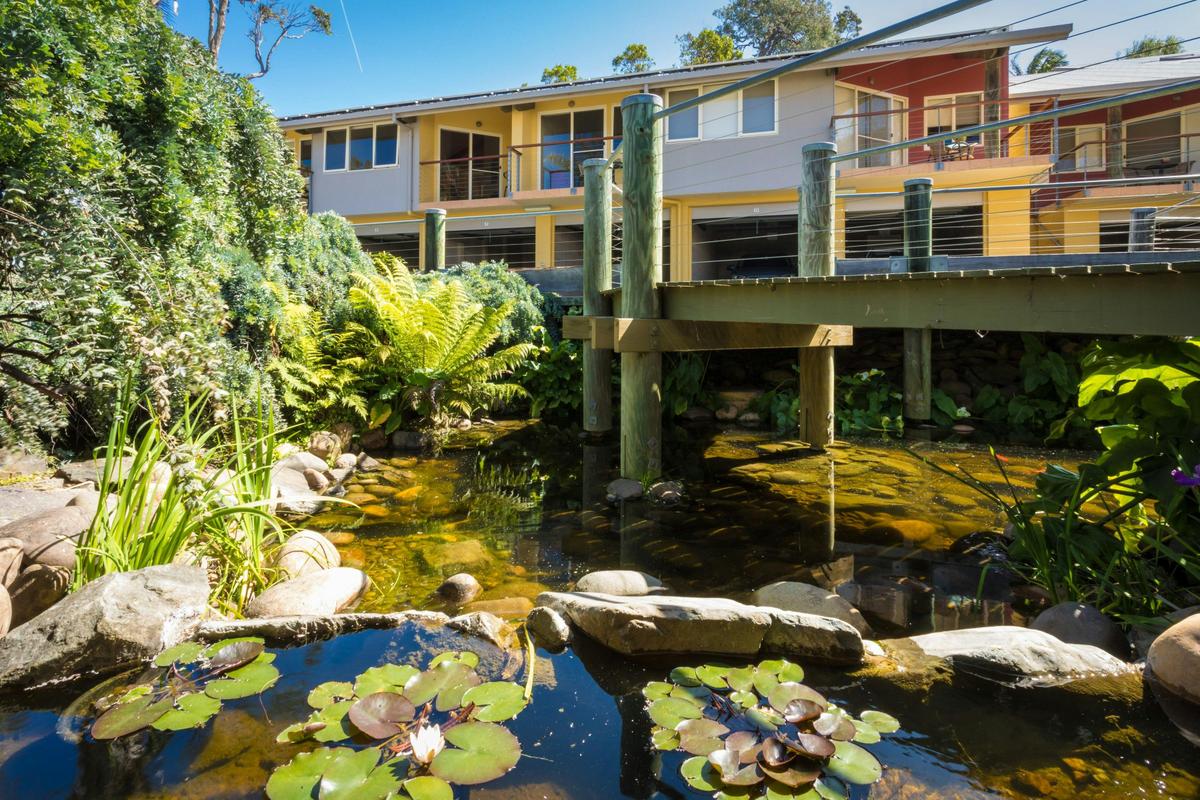 Ponds & Water Features