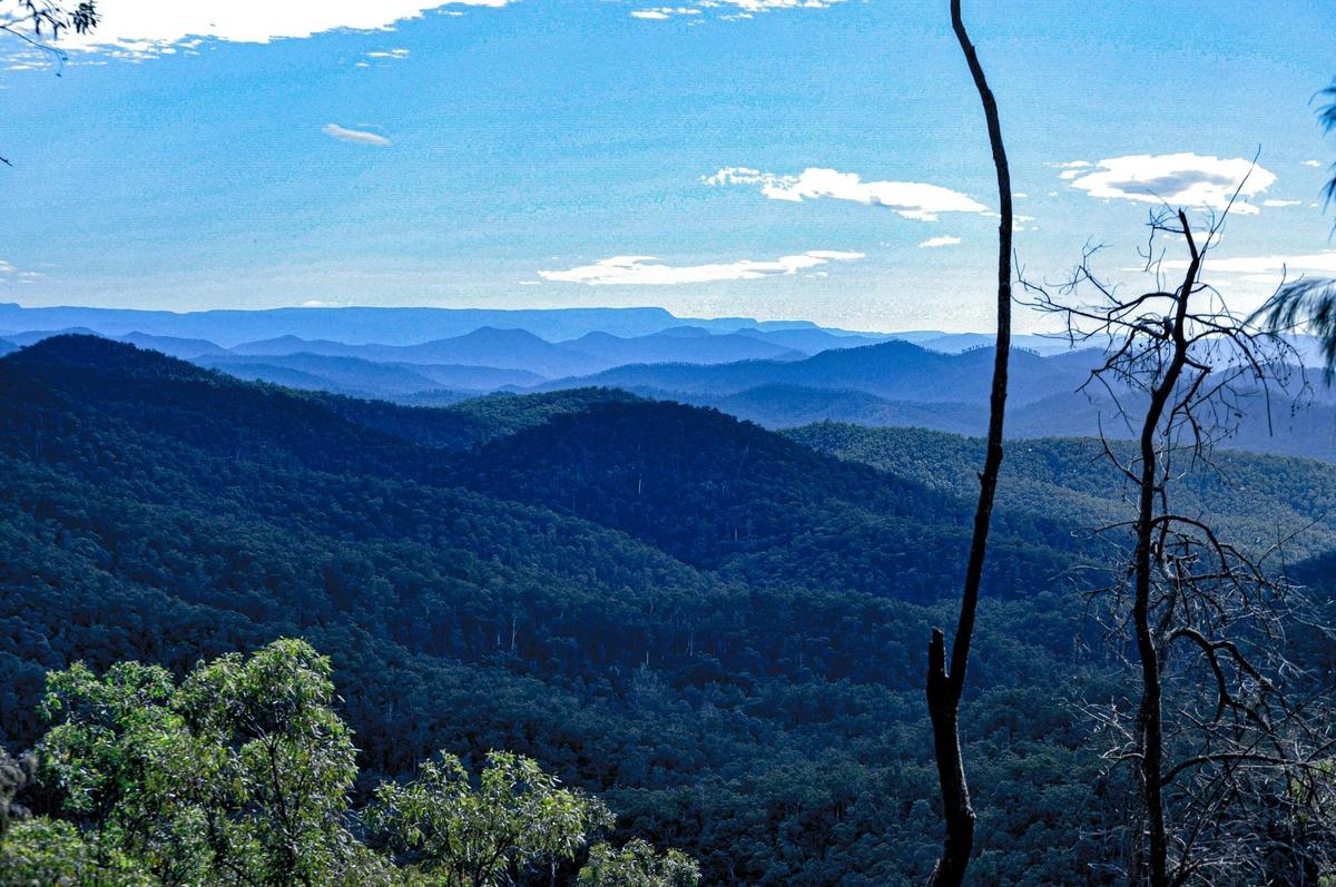 Macleay Valley Views