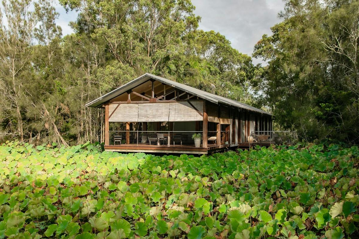 The villa - surrounded by lush green