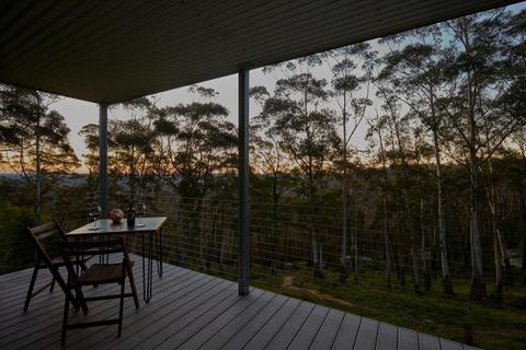 Tree Tops - Mount Wilson