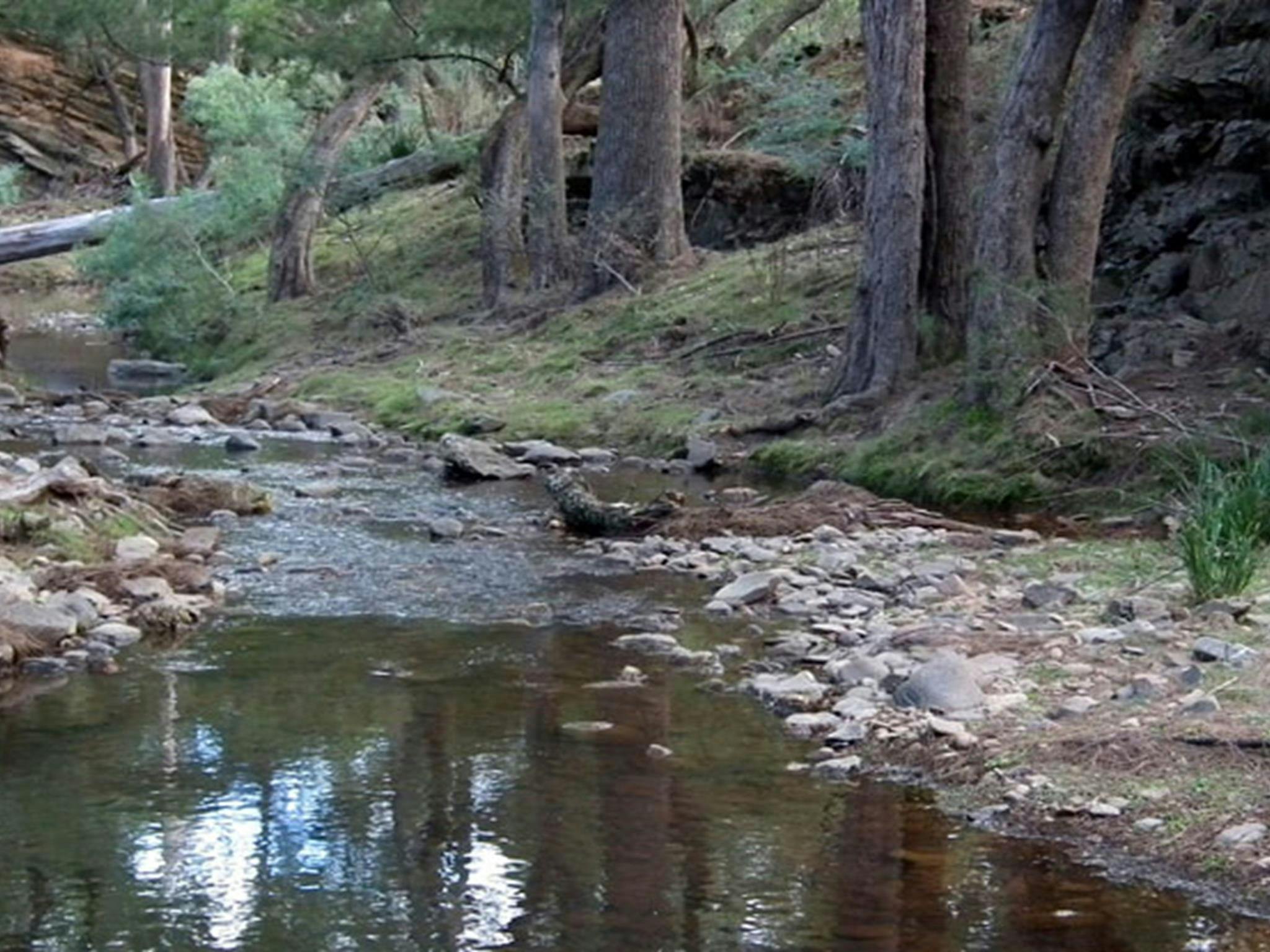 Retreat River, Abercrombie River National Park. Photo: NSW Government