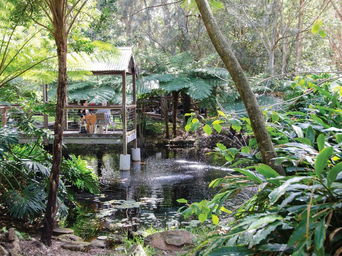 Central Pond