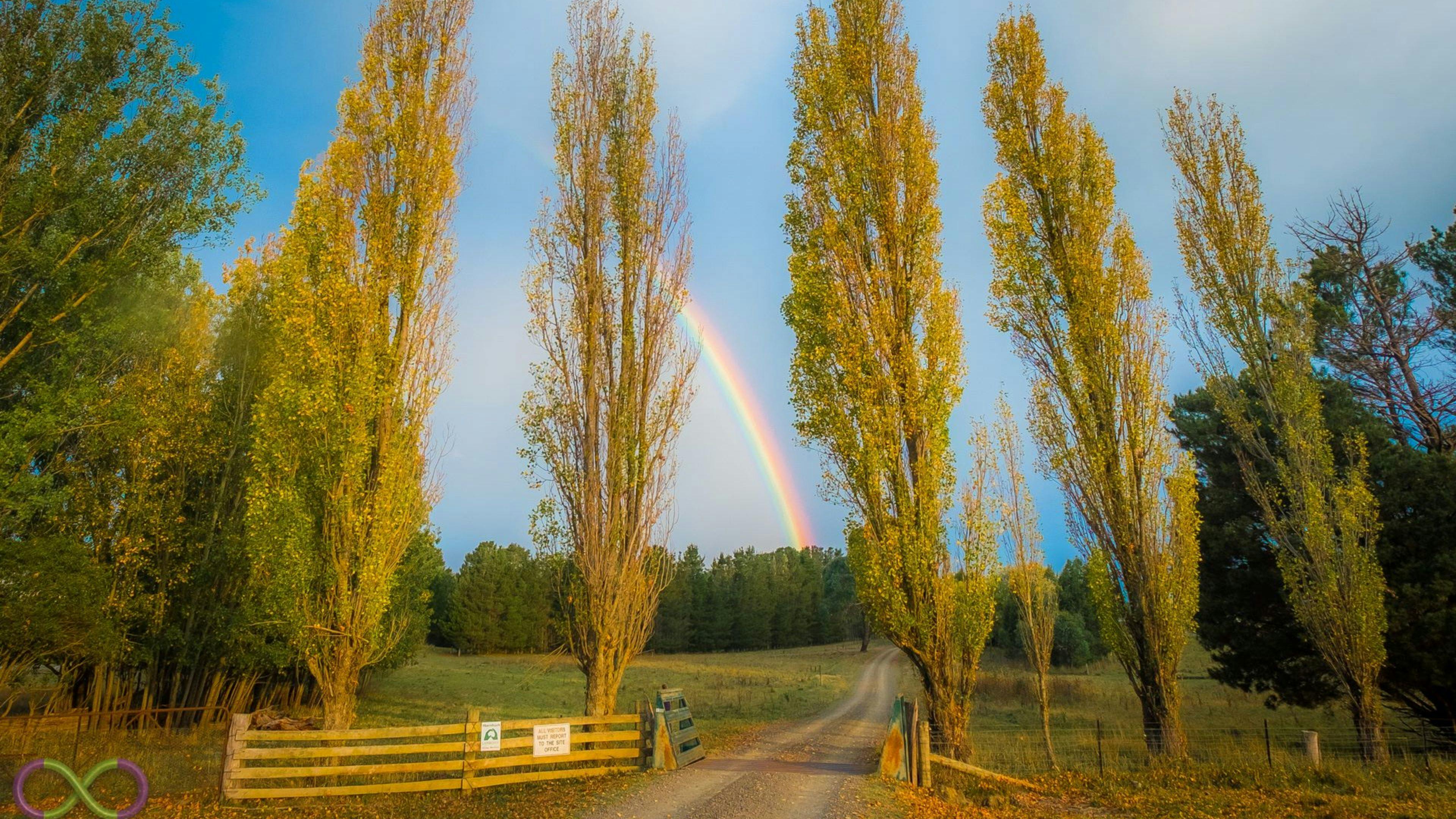 Taylors Run Farm Camping