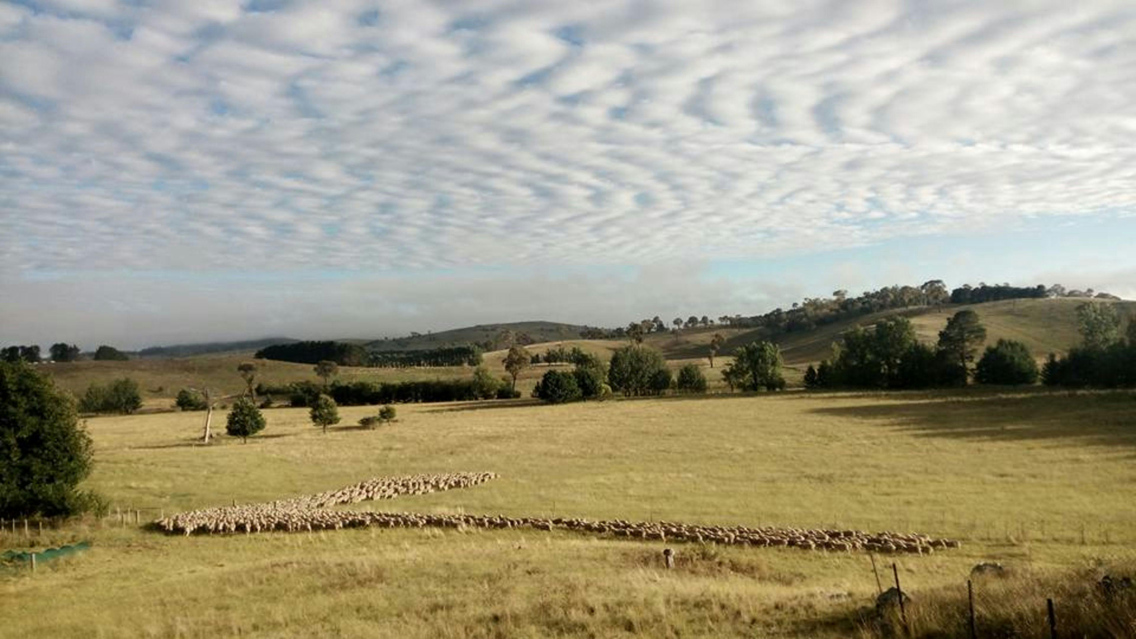 Taylors Run Farm Camping