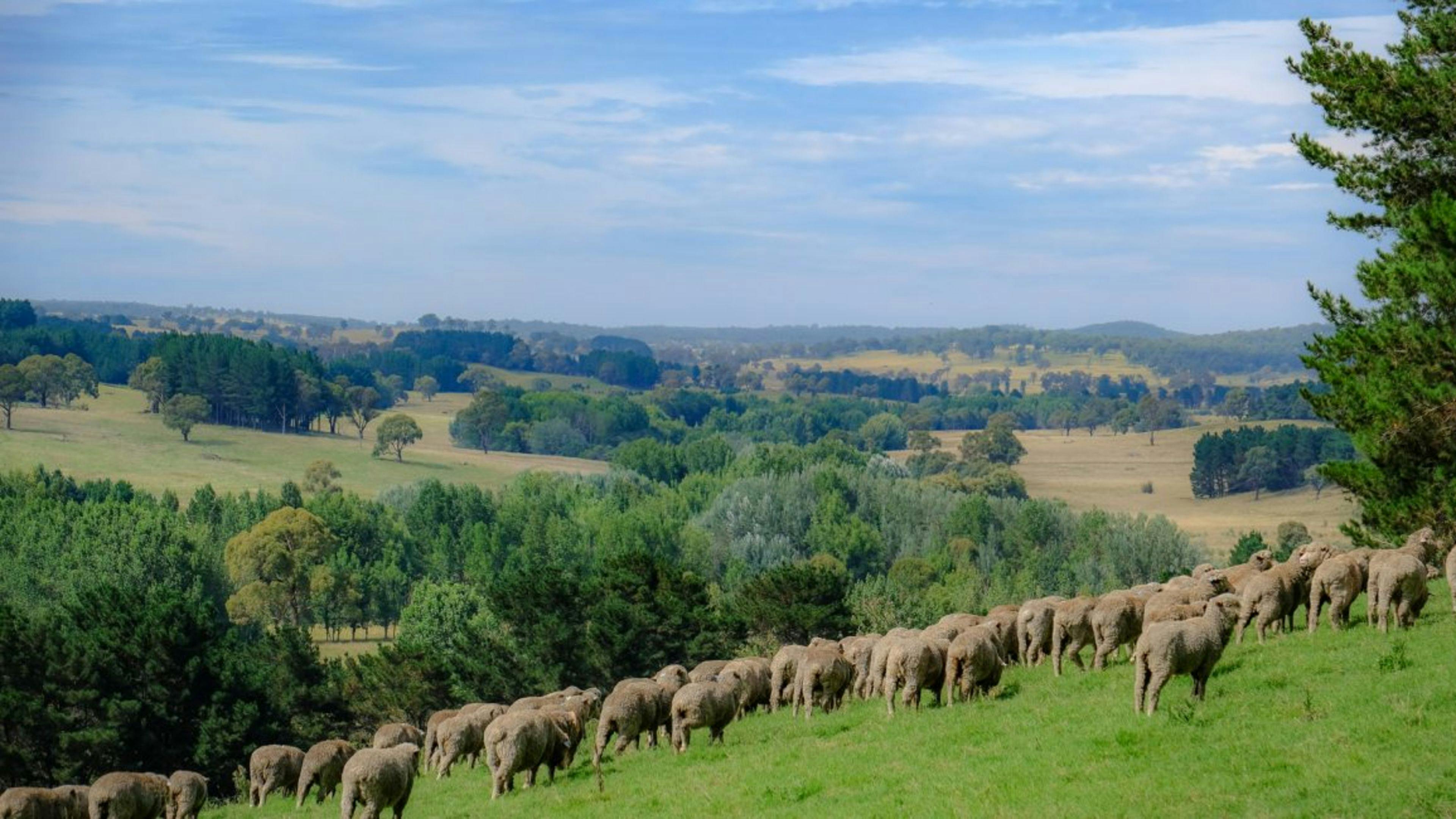 Taylors Run Farm Camping