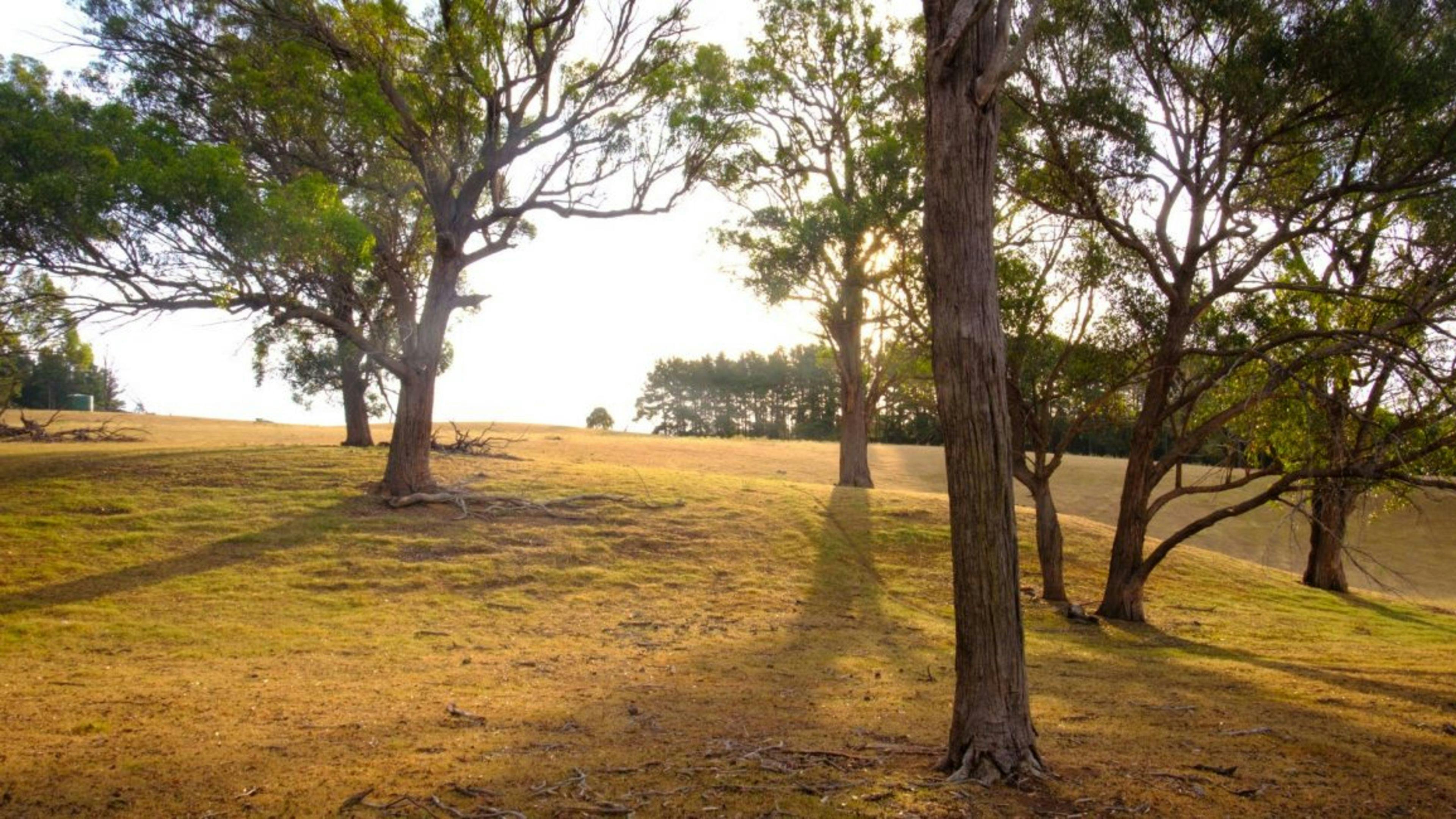Taylors Run Farm Camping