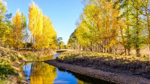 Taylors Run Farm Camping