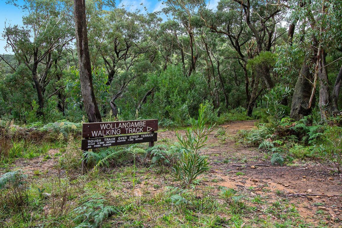 Walking trail