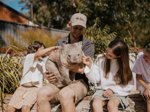 Tiny Wombat
